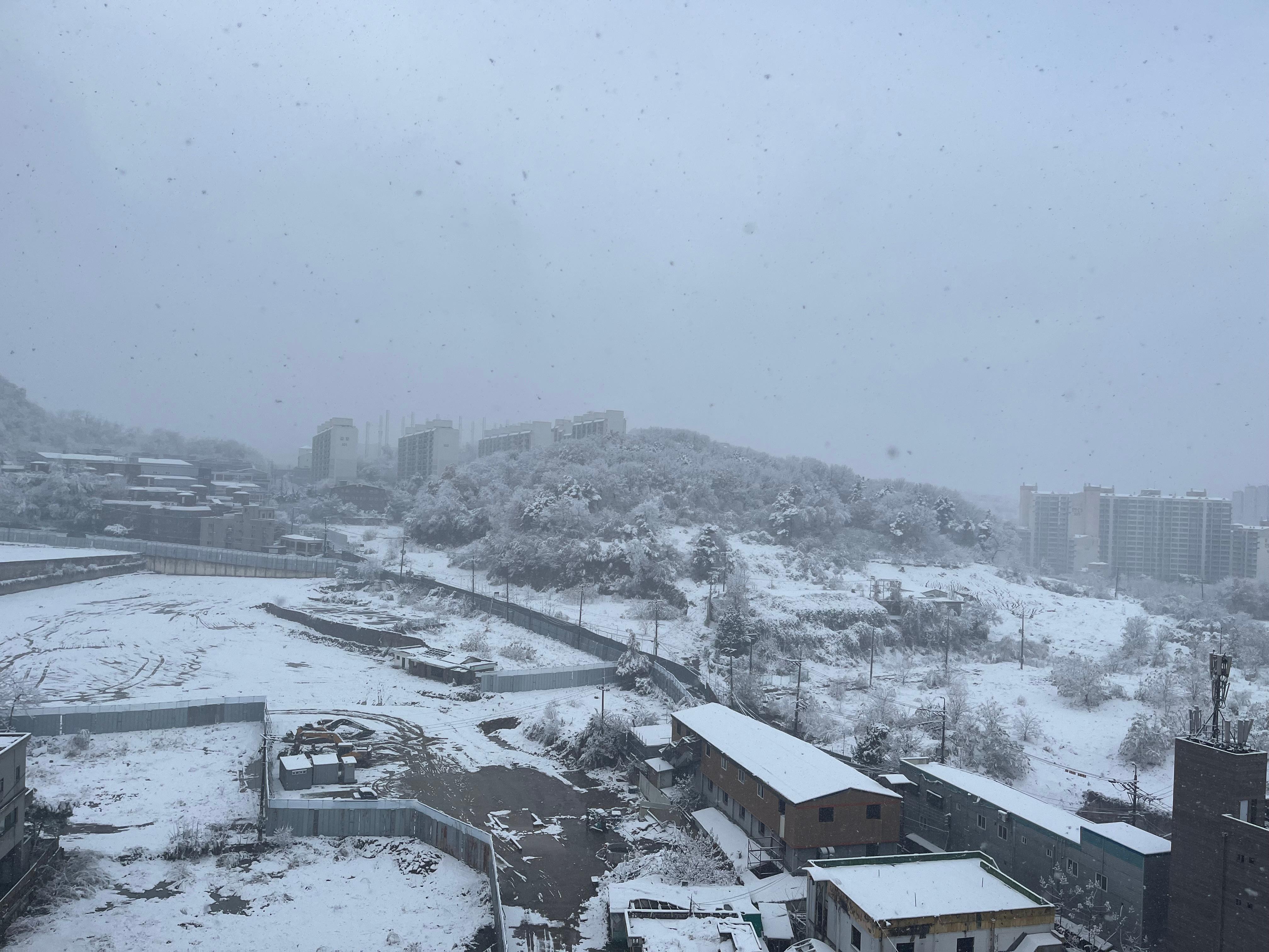 풍무동 실거주자 사진 3