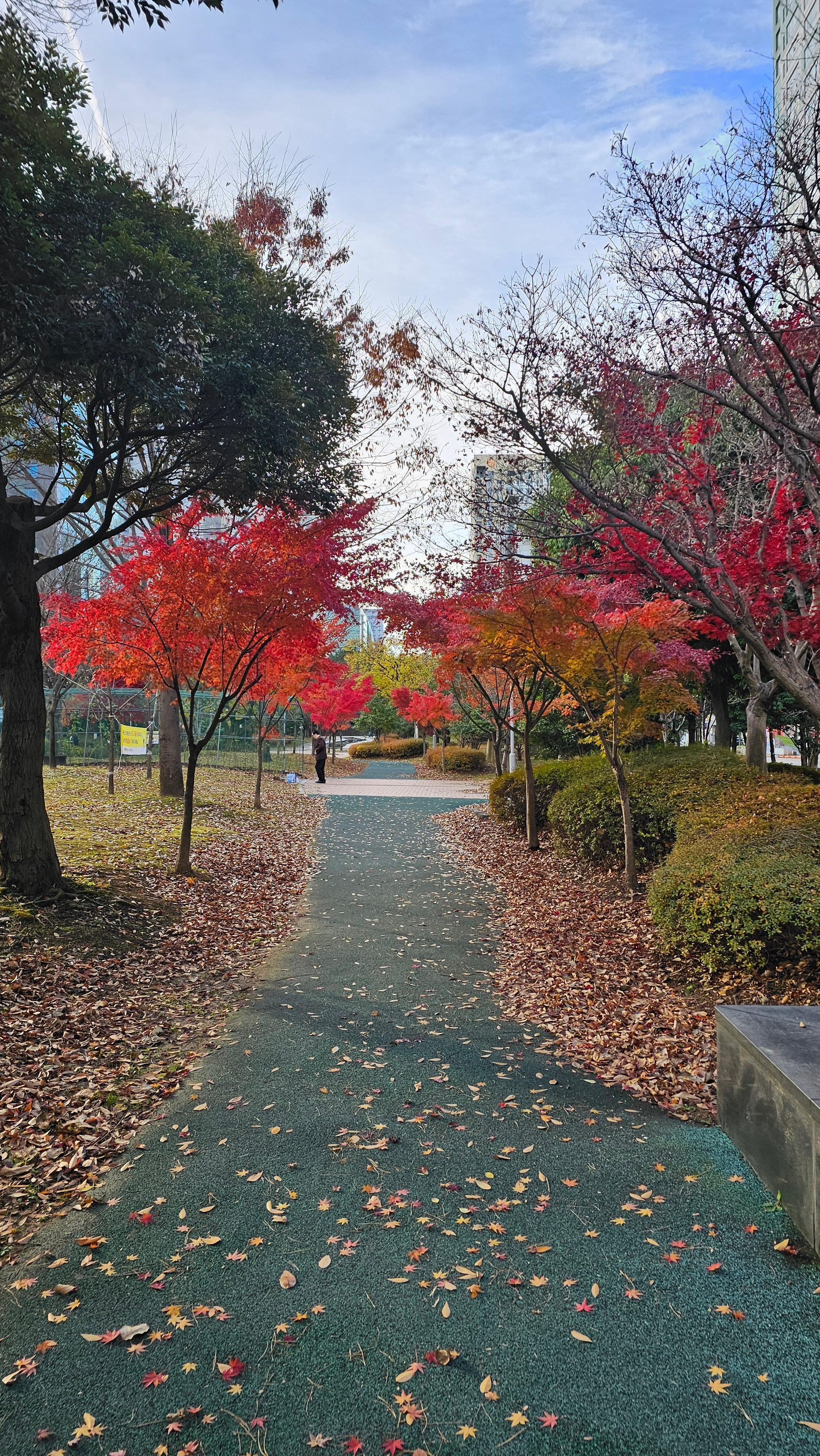 치평동 실거주자 사진 1