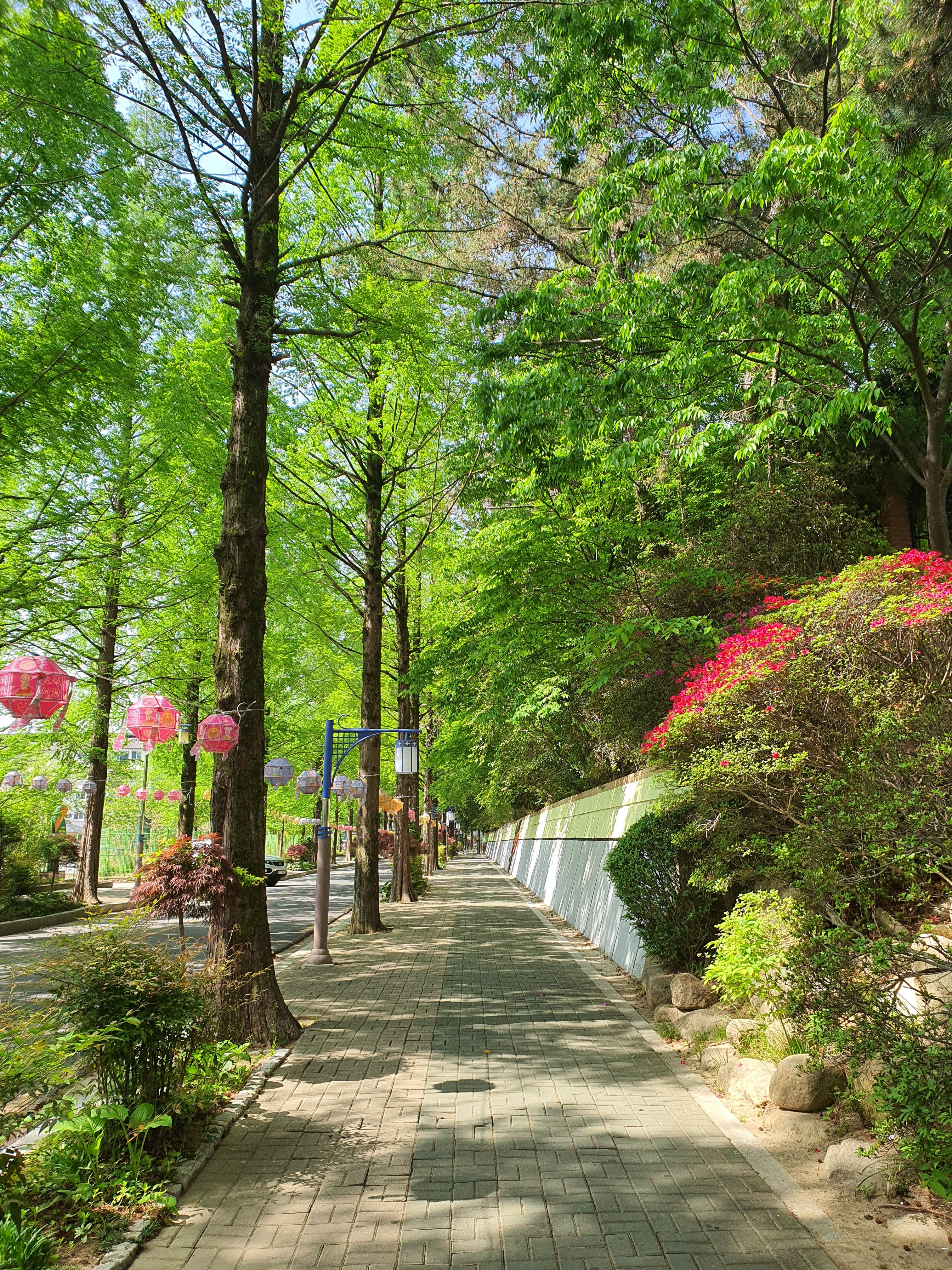 용호동 실거주자 사진 1