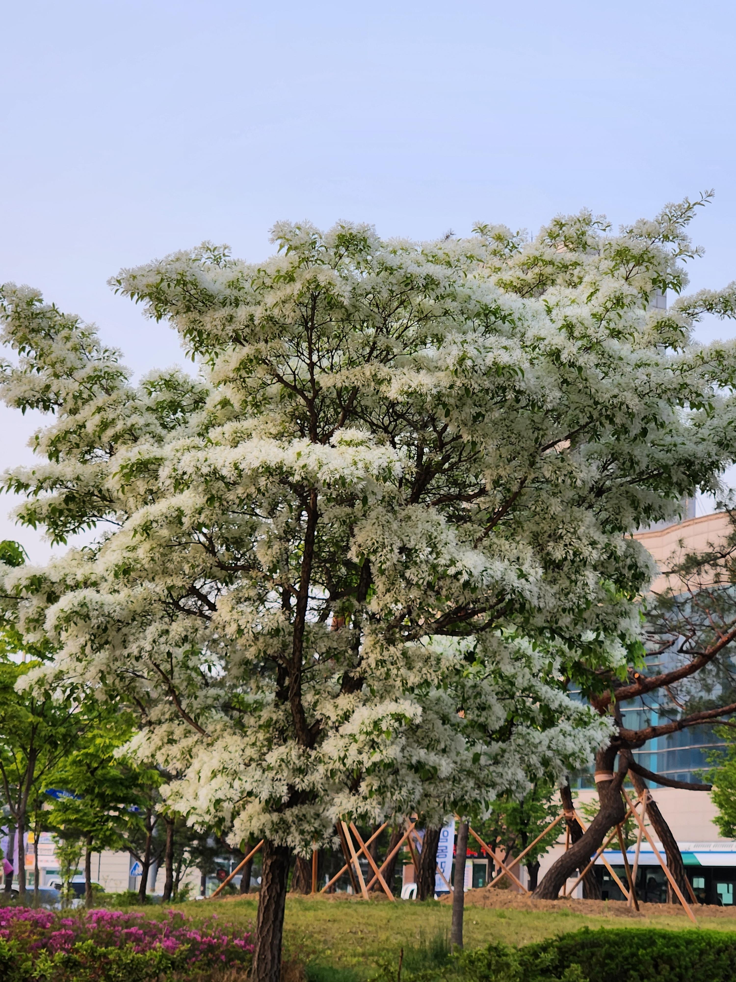 개신동 실거주자 사진 1