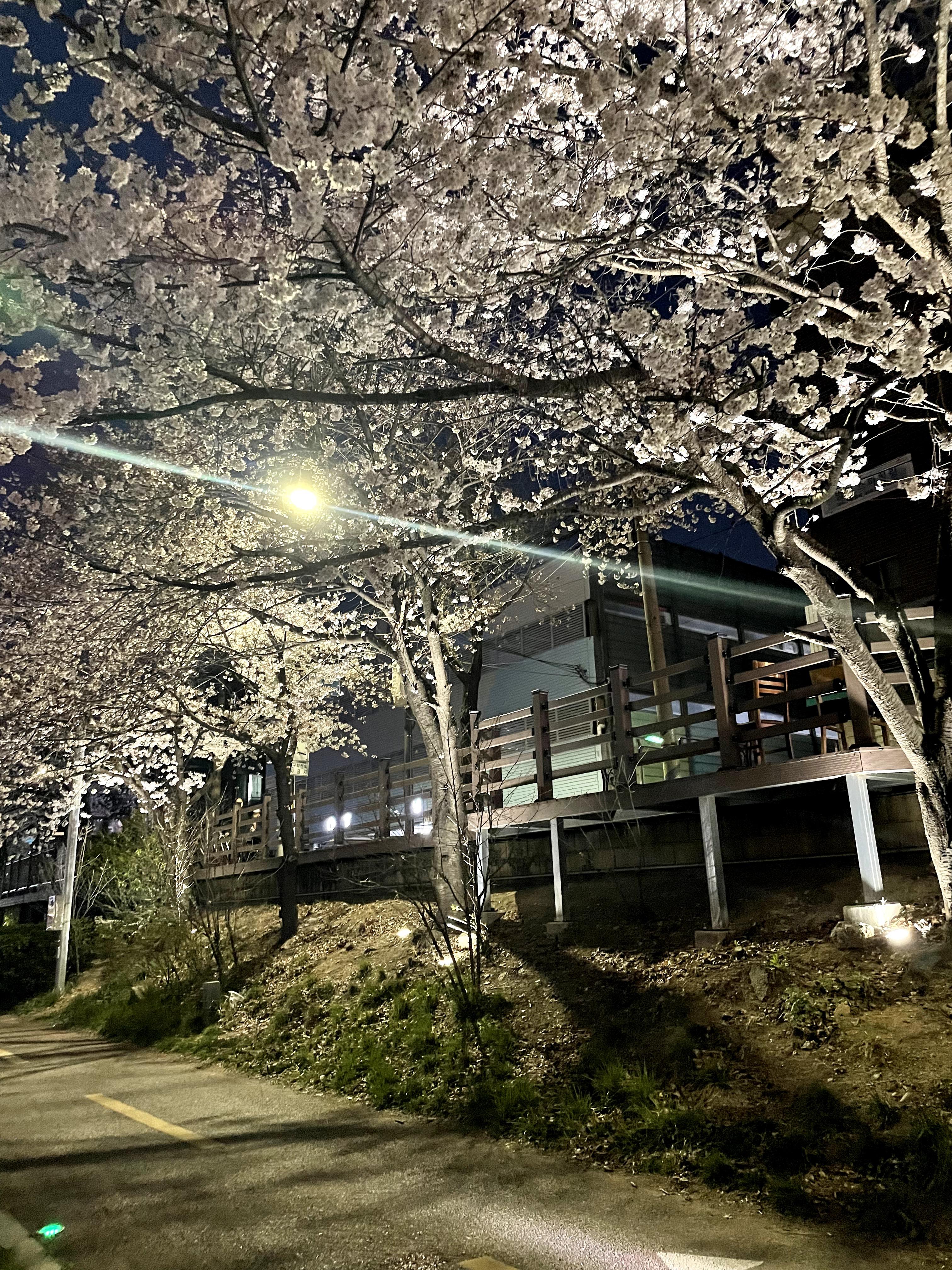 구산동 실거주자 사진 1