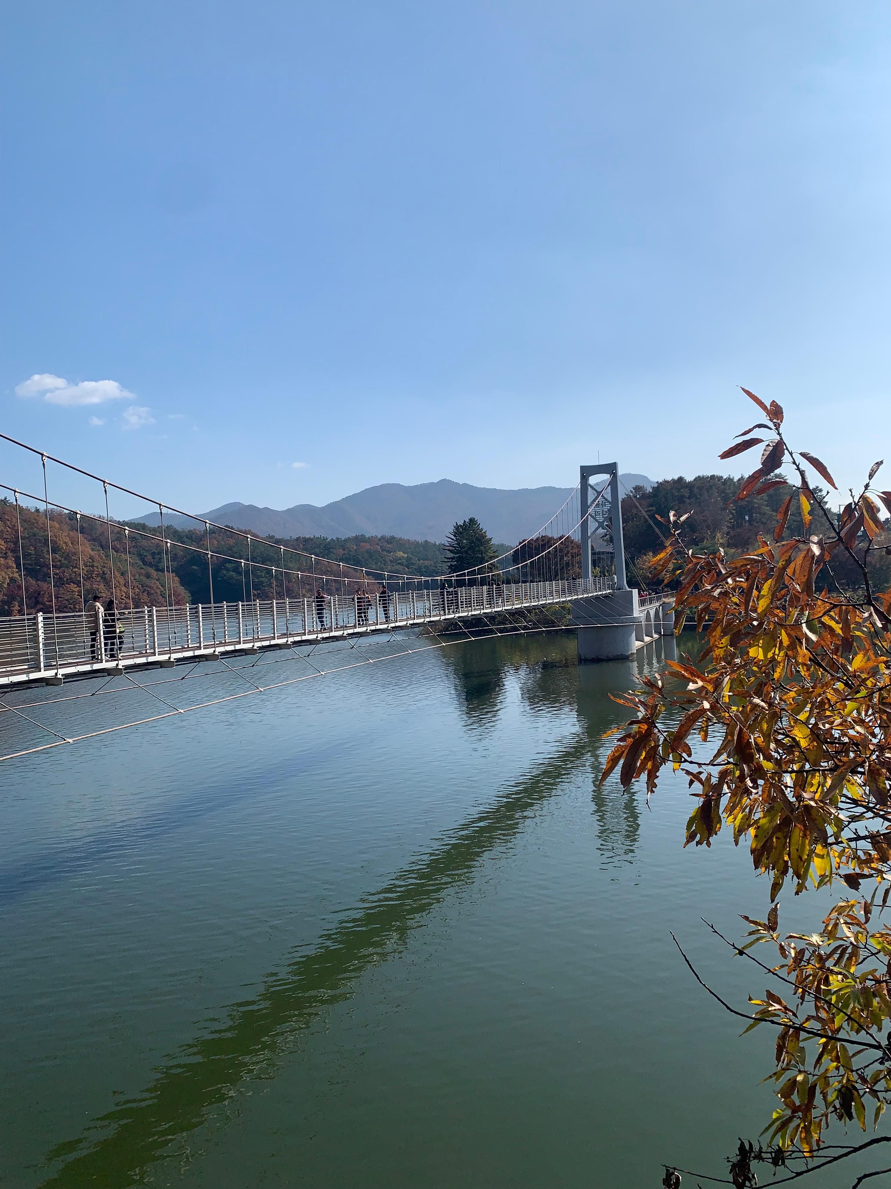 덕산읍 실거주자 사진 1