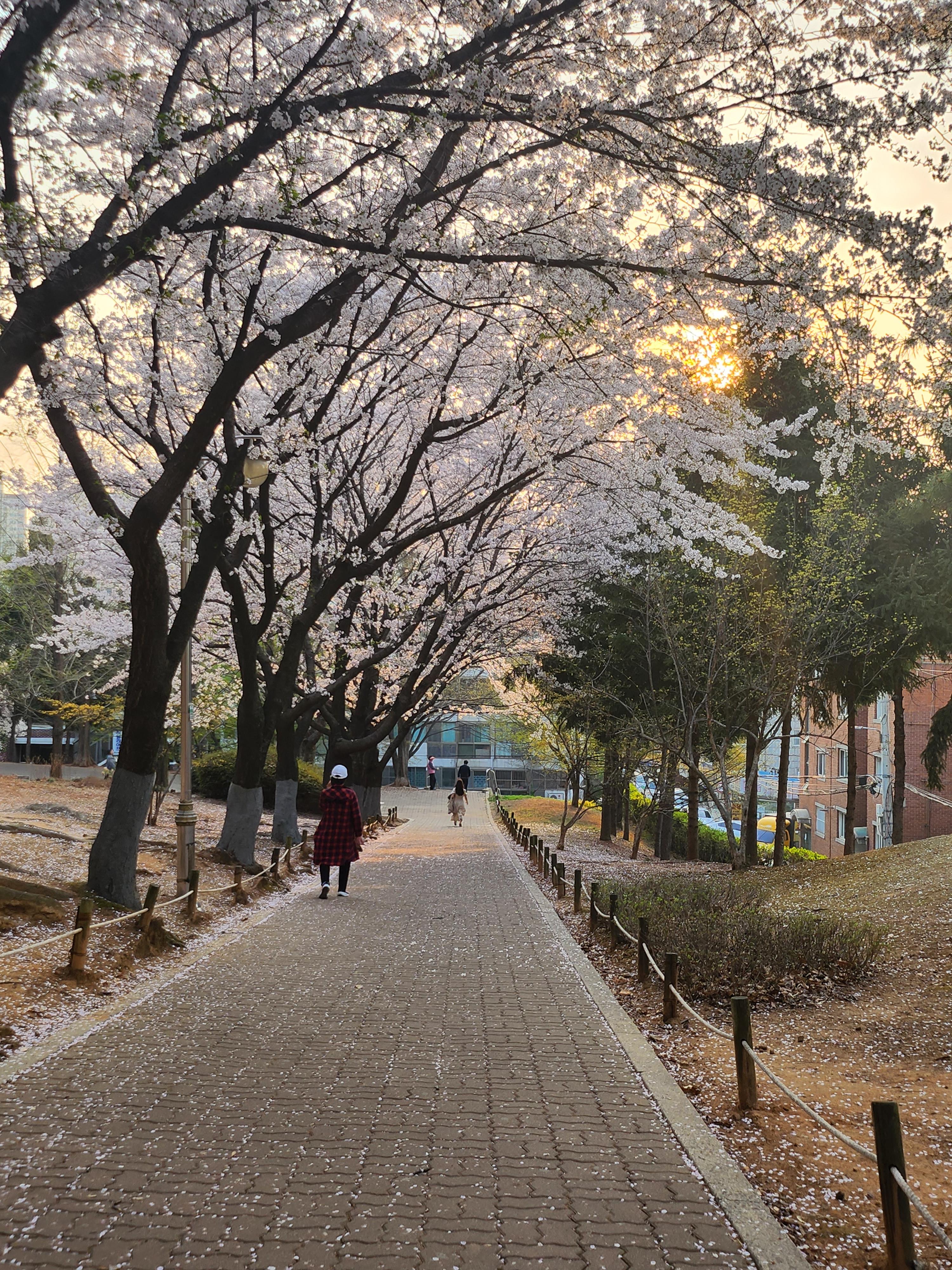 토당동 실거주자 사진 1