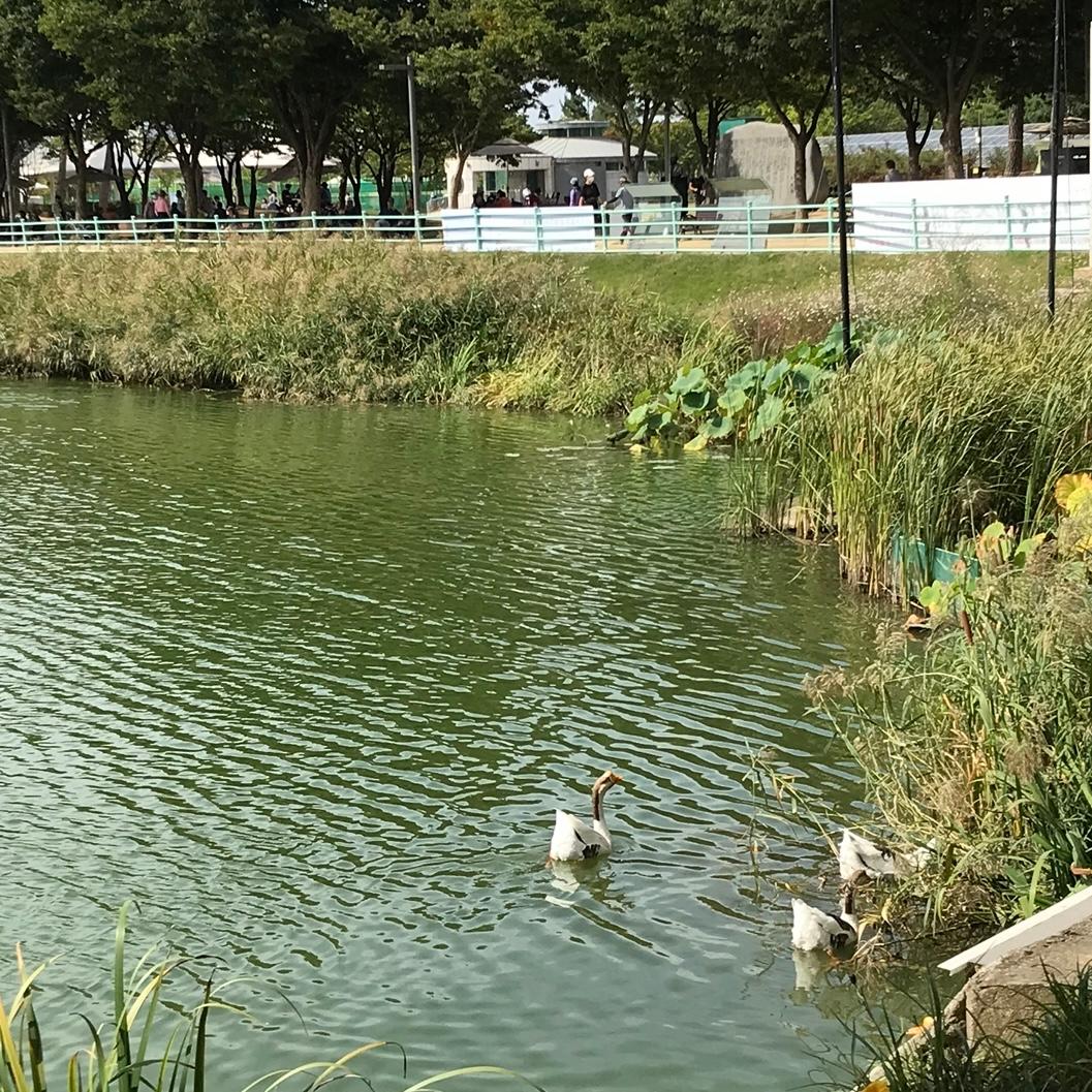 지산동 실거주자 사진 1