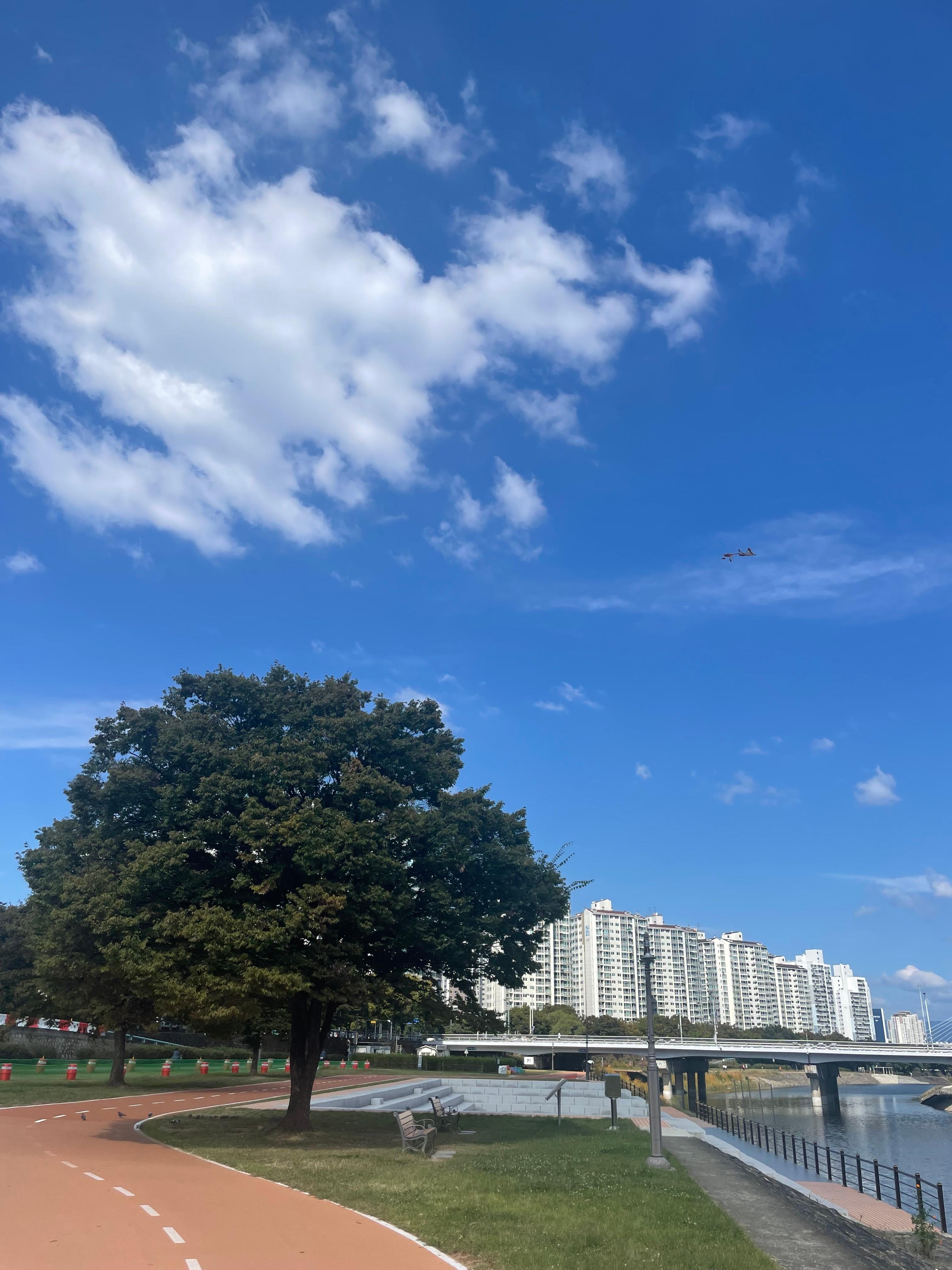 괴정동 실거주자 사진 1