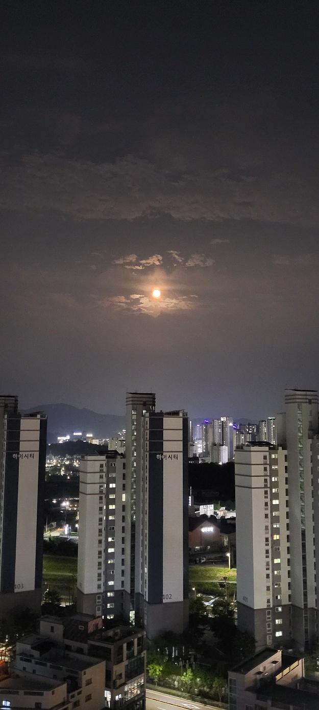 성정동 실거주자 사진 1