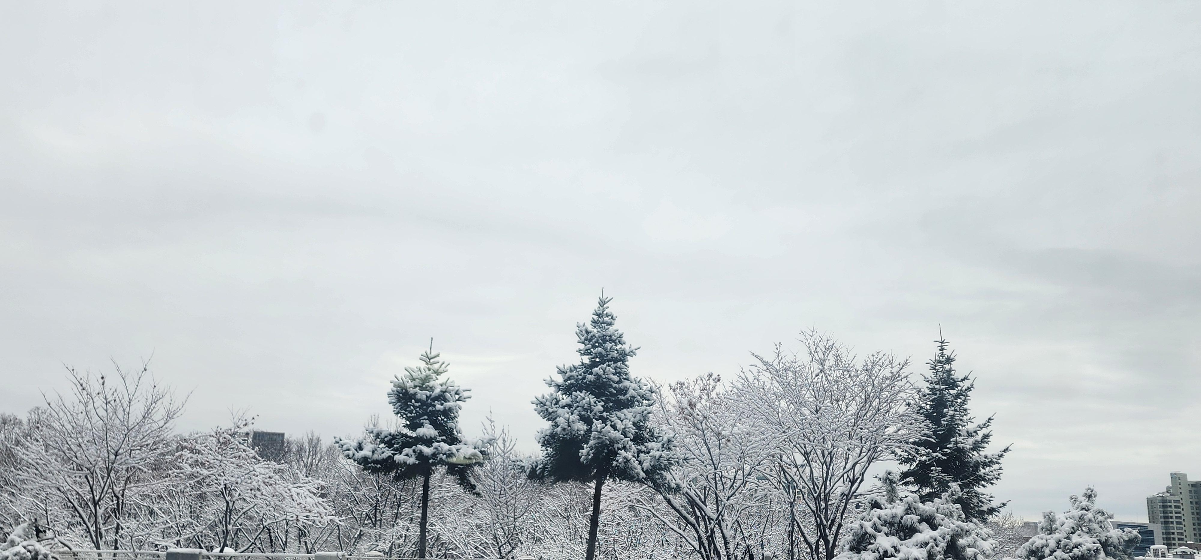 삼성동 실거주자 사진 1