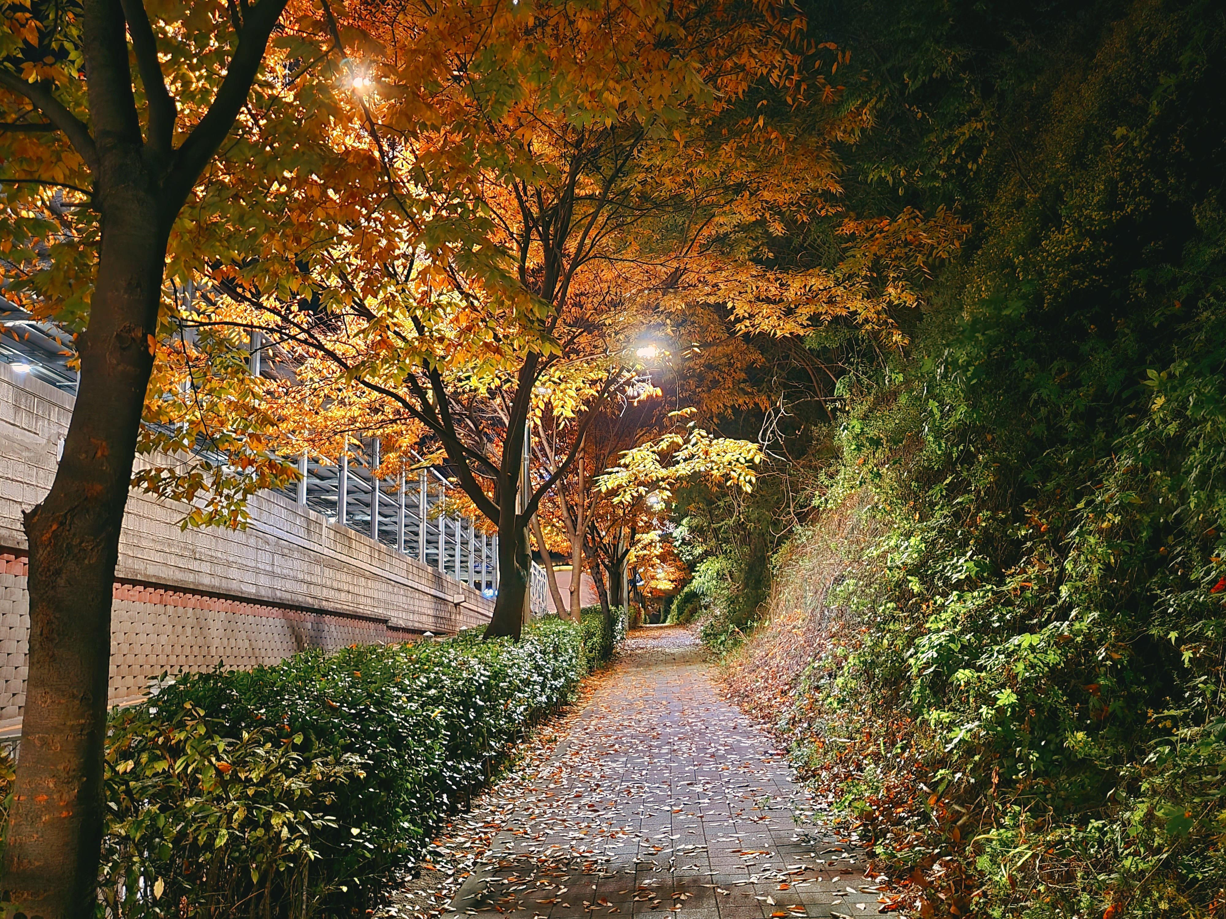 동춘동 실거주자 사진 2