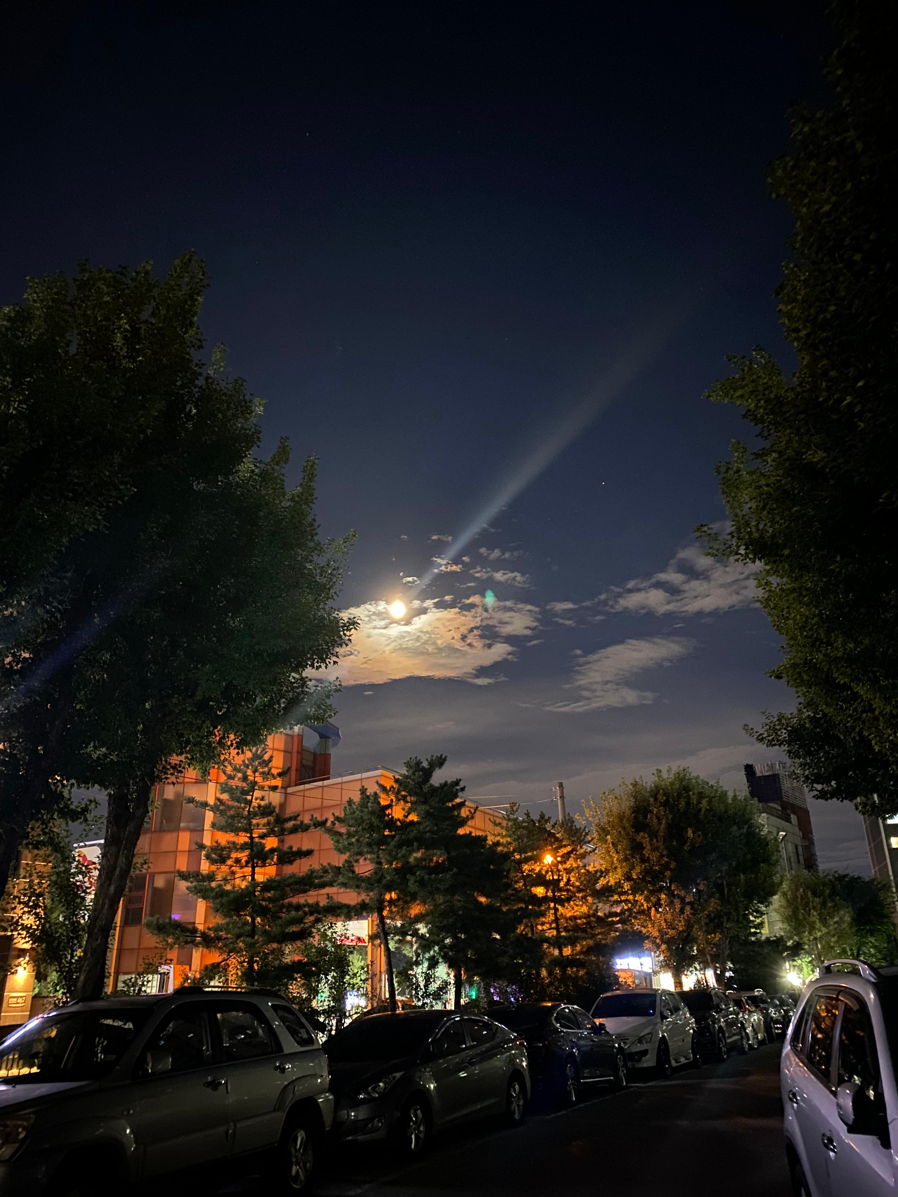 철산동 실거주자 사진 3