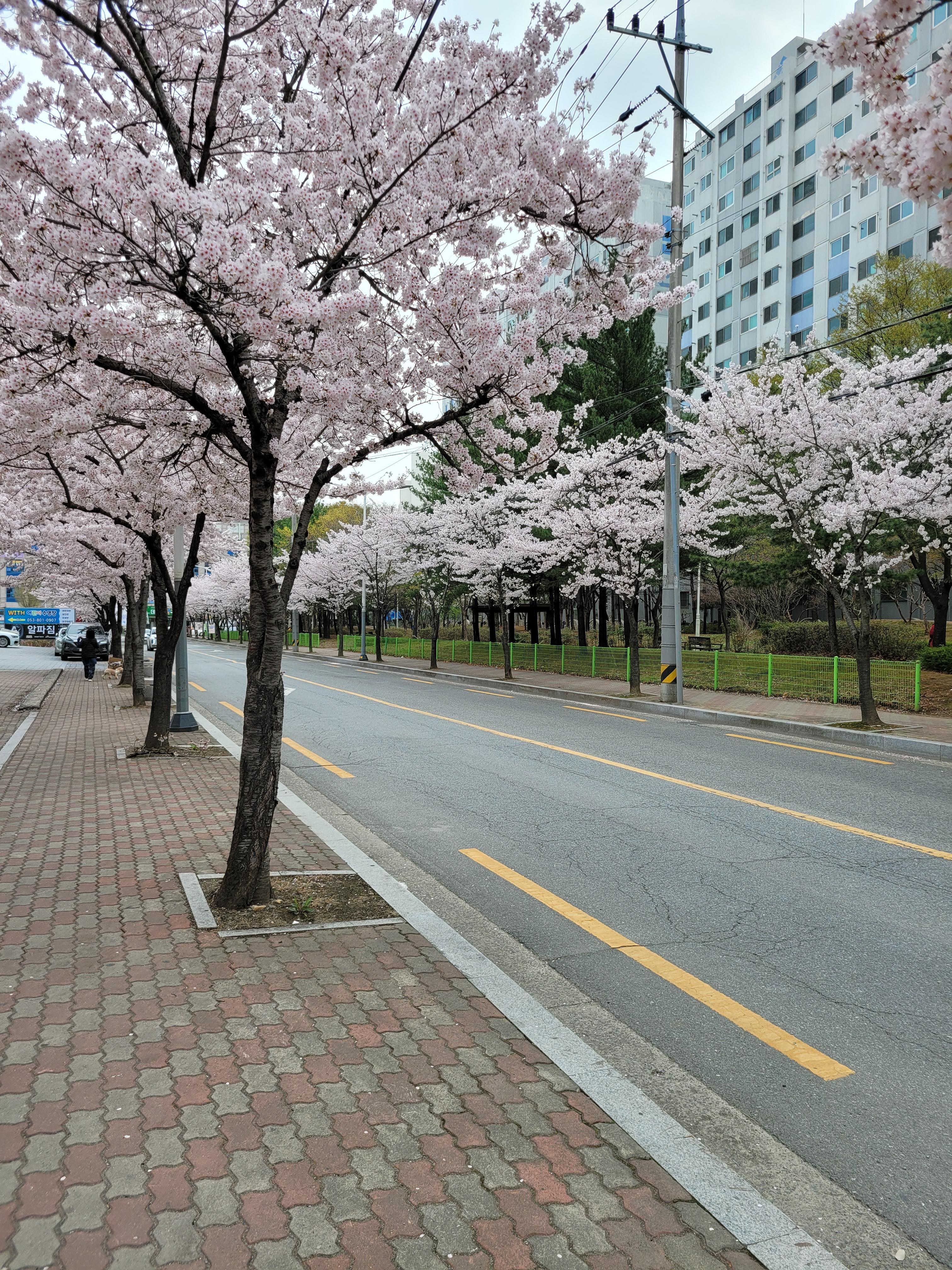 중방동 실거주자 사진 2