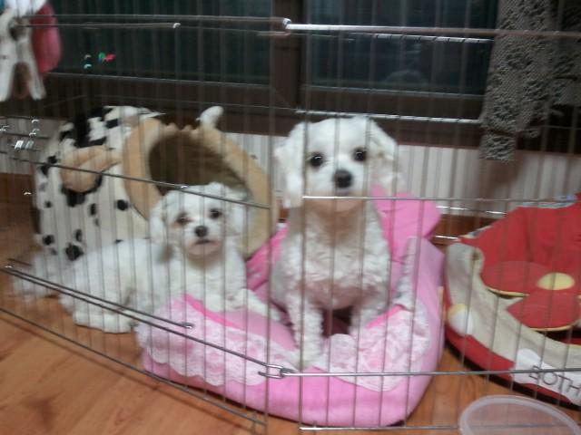 석남동 실거주자 사진 5