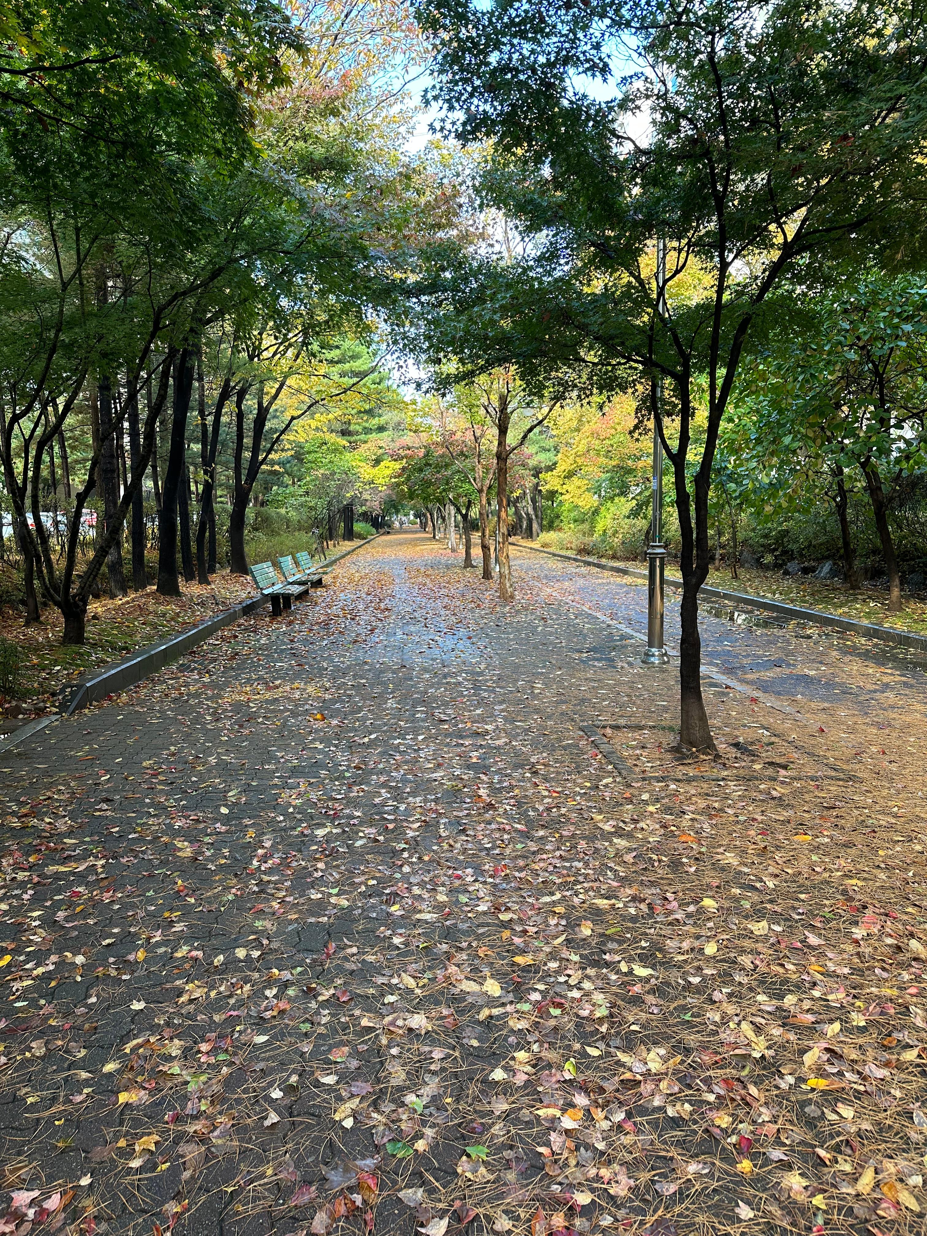 주엽동 실거주자 사진 2