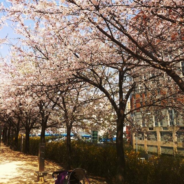양평동2가 실거주자 사진 2