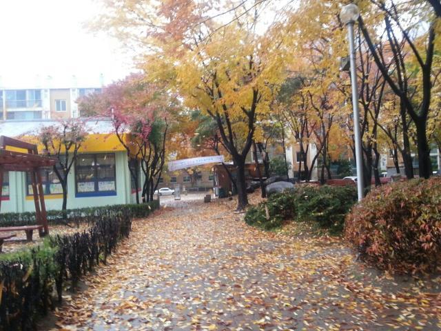 청학동 실거주자 사진 2