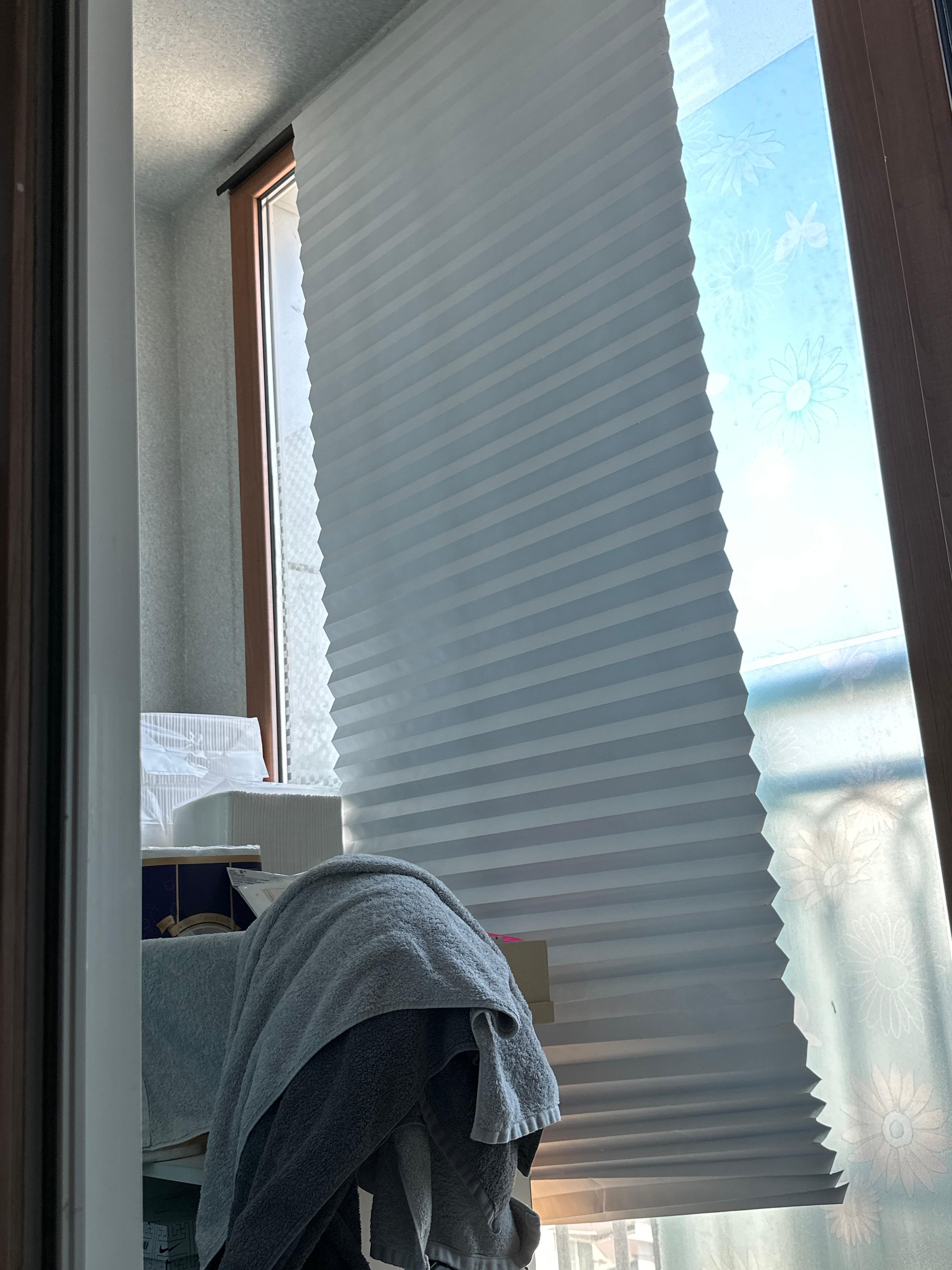 창신동 실거주자 사진 4