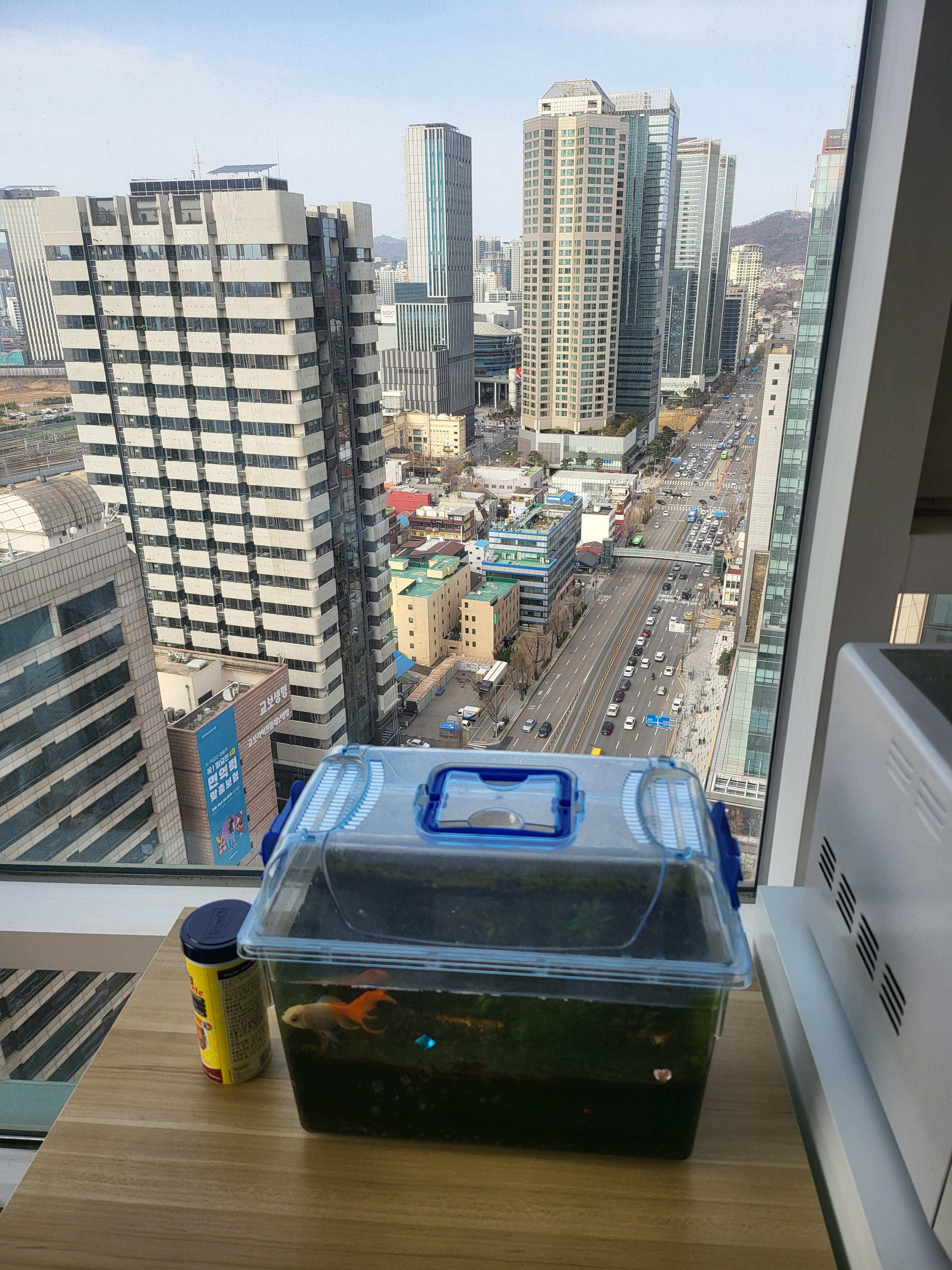 한강로3가 실거주자 사진 7