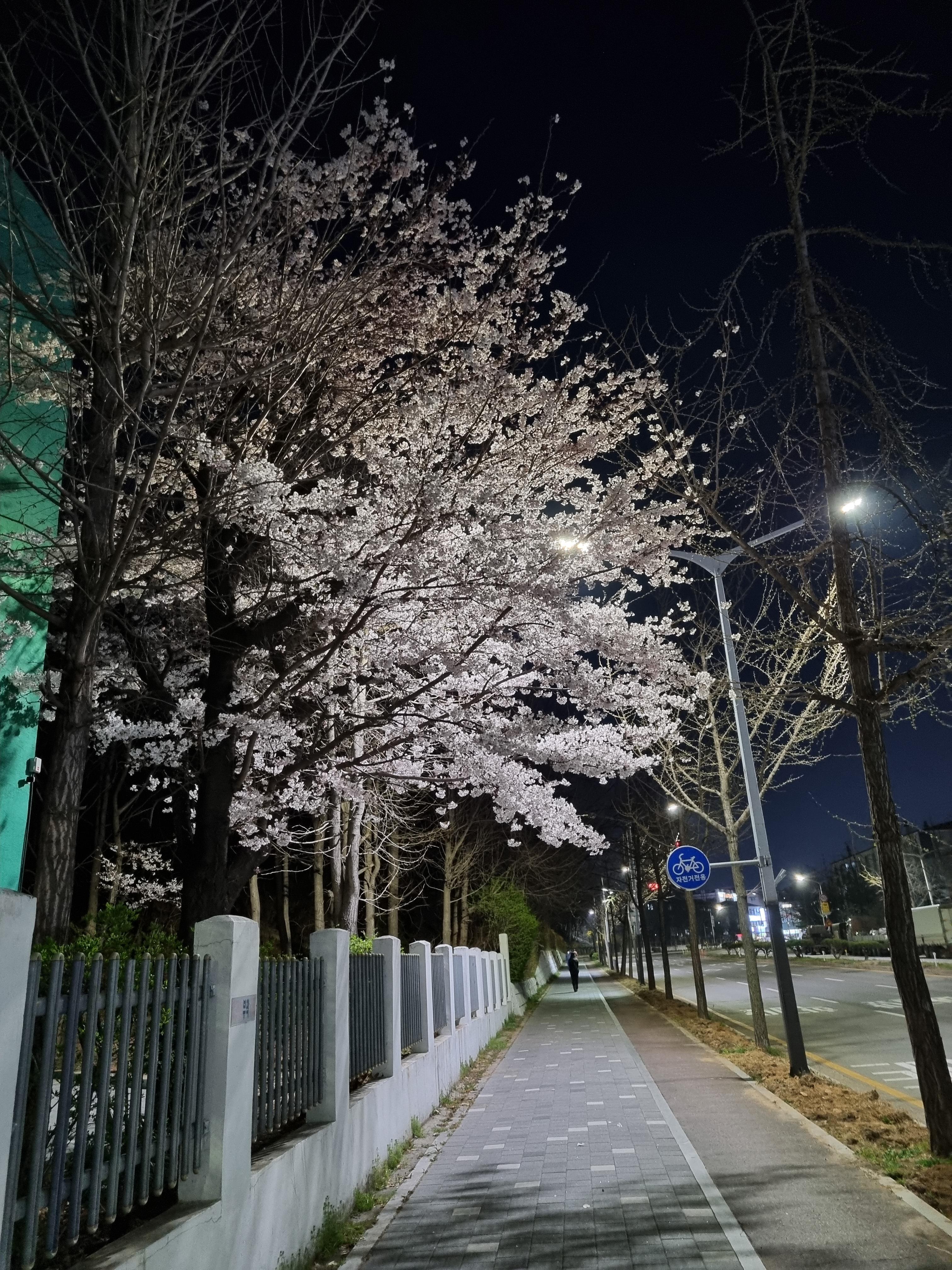 와동 실거주자 사진 1