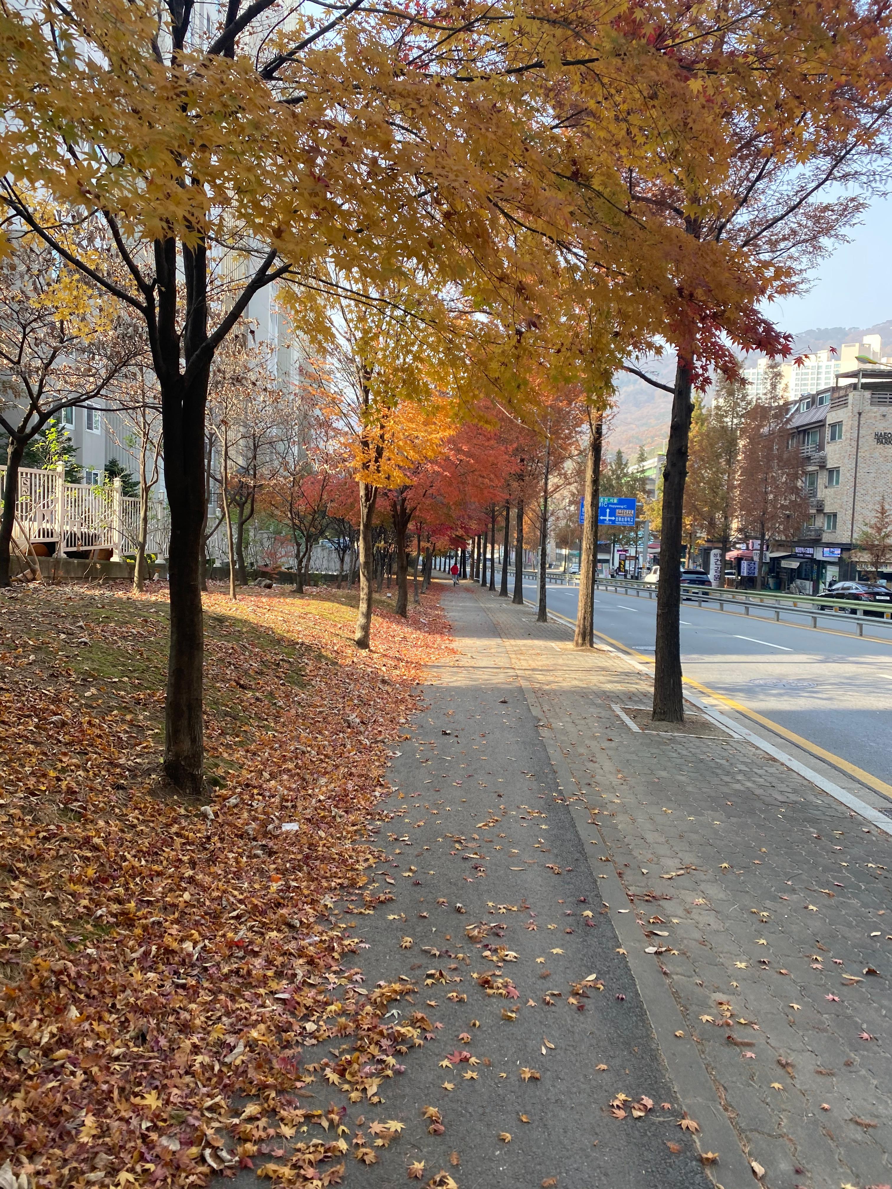 호평동 실거주자 사진 1