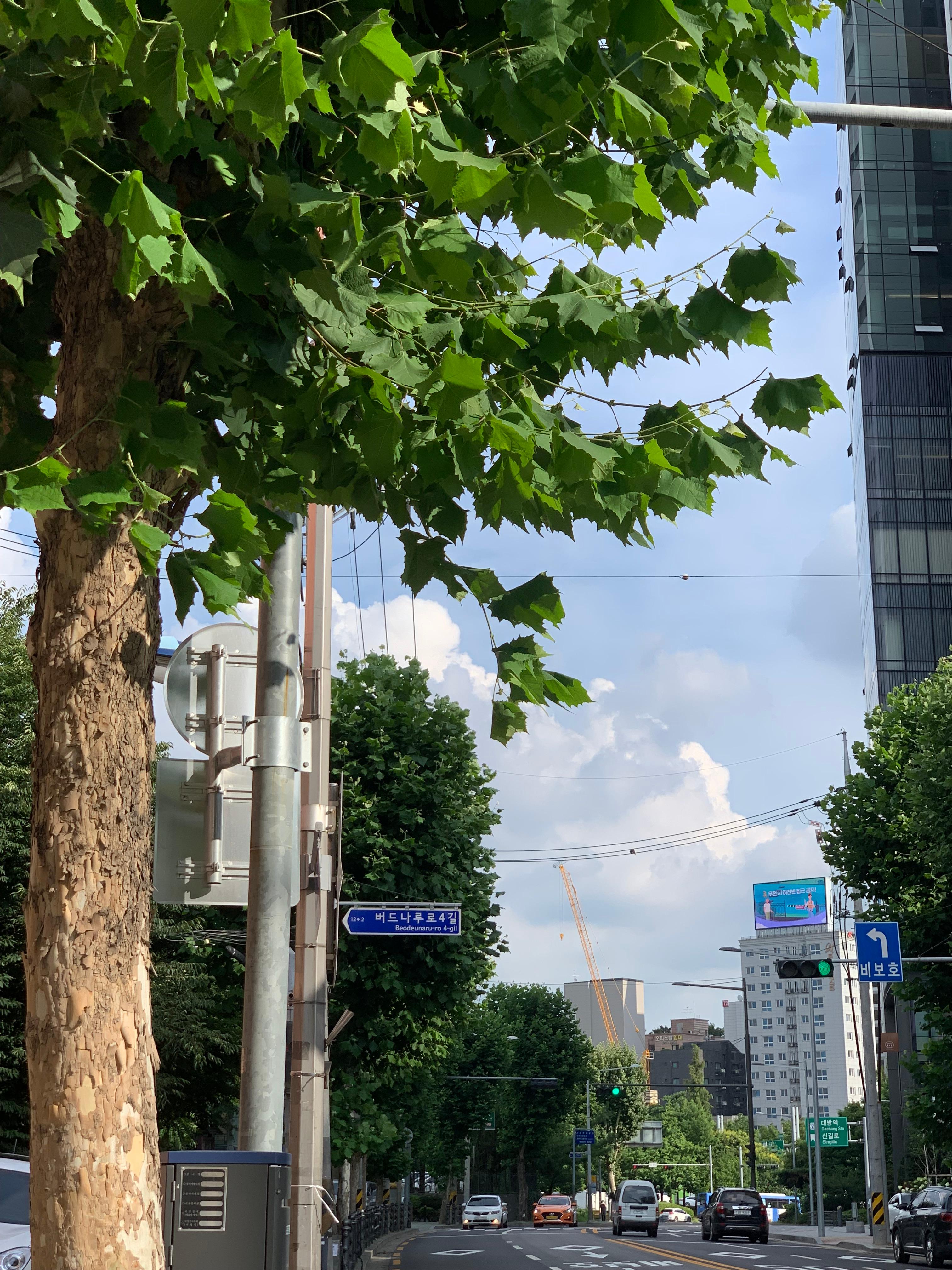 영등포동2가 실거주자 사진 3
