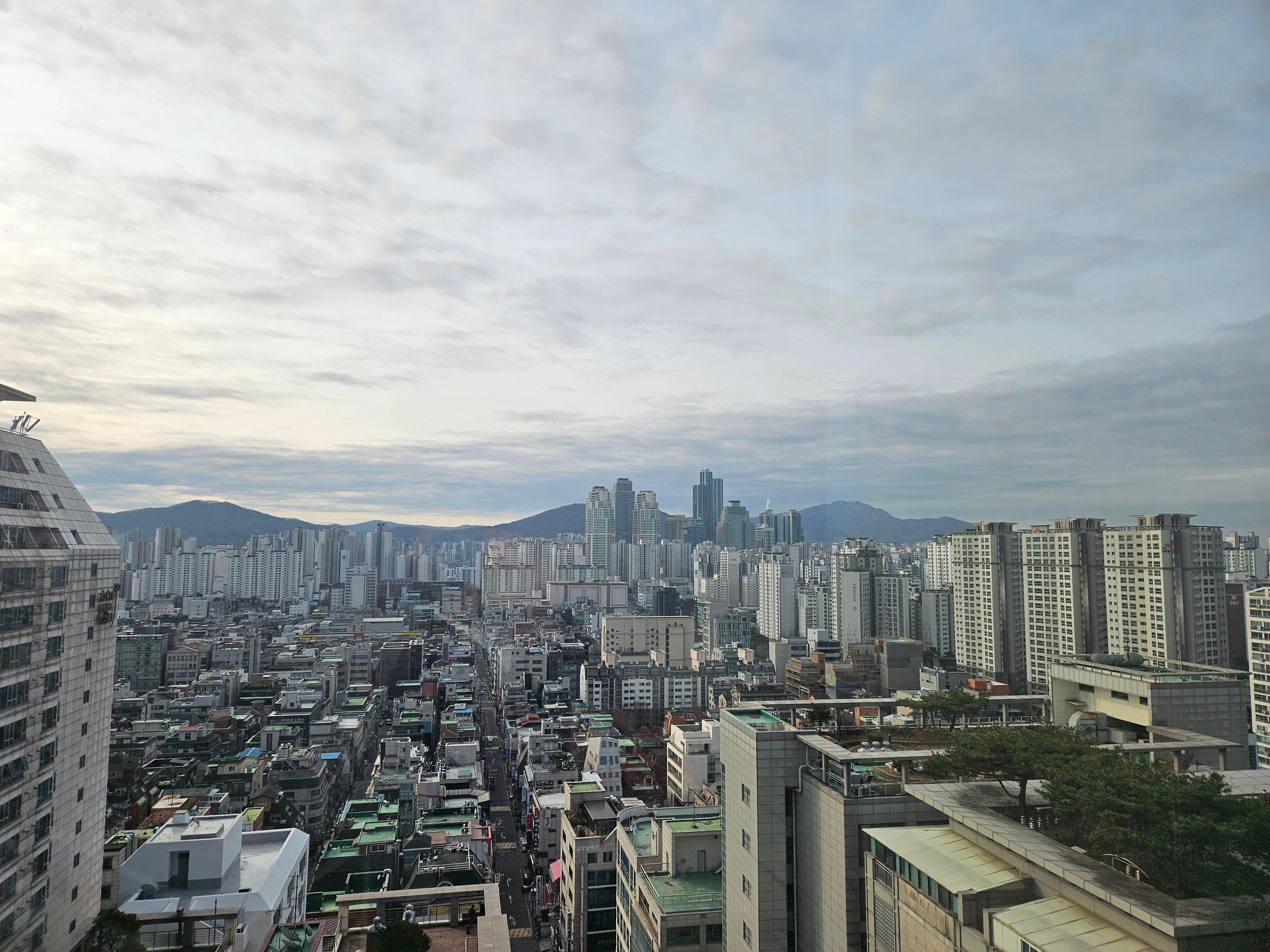 대치동 실거주자 사진 1