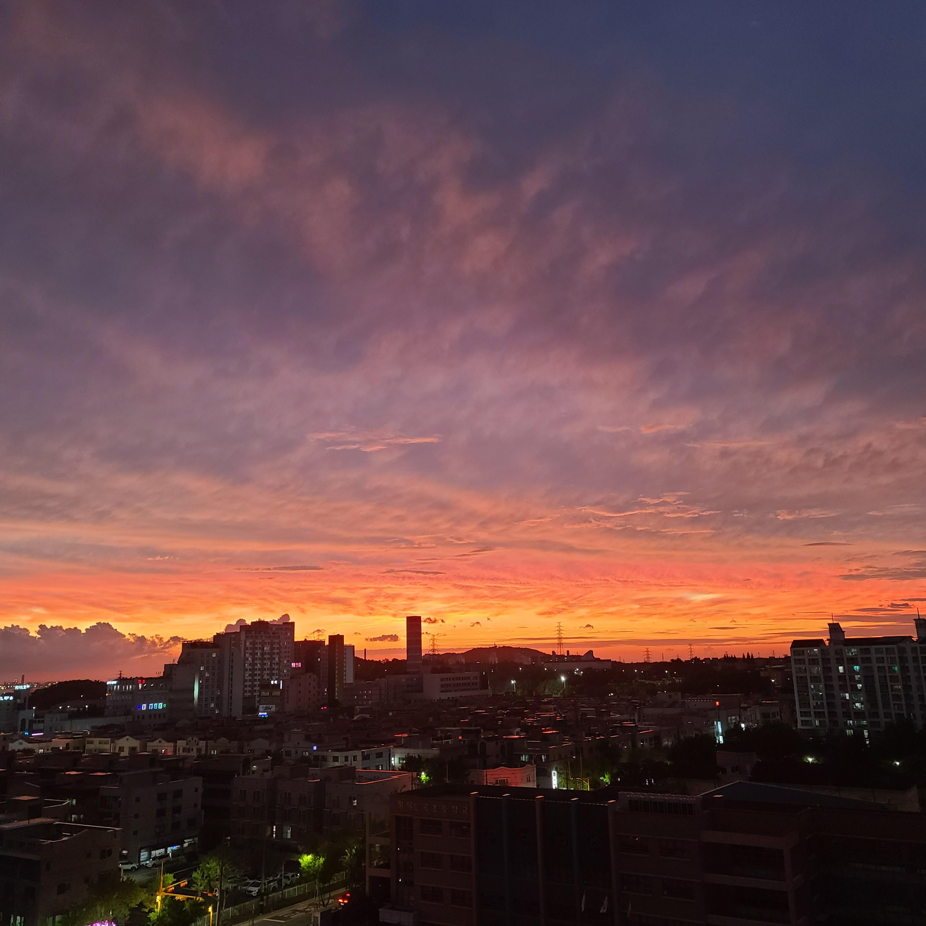 포승읍 실거주자 사진 1