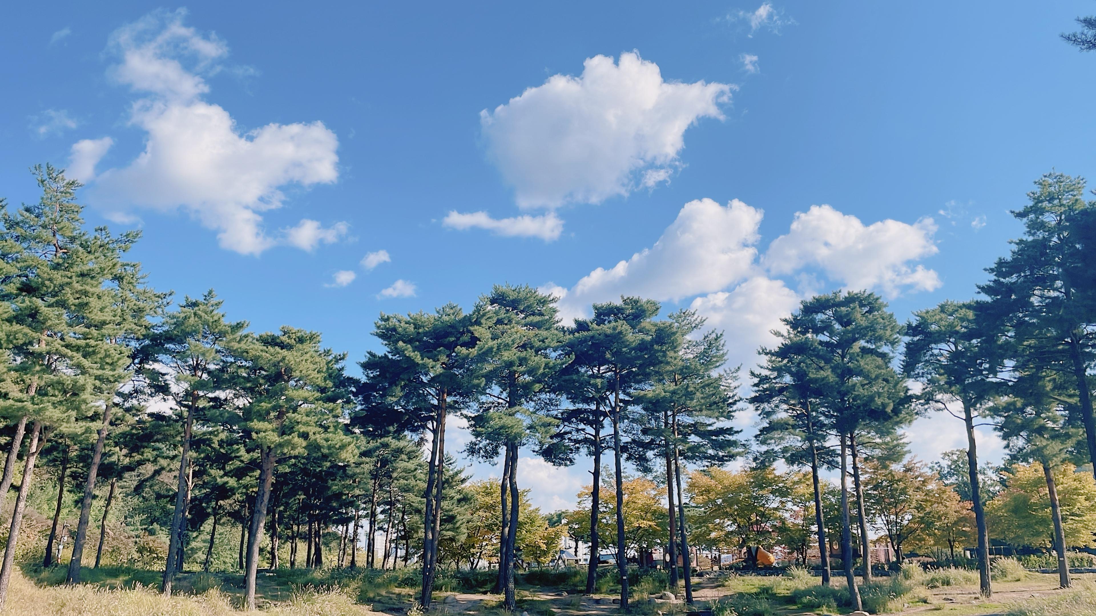 미아동 실거주자 사진 1
