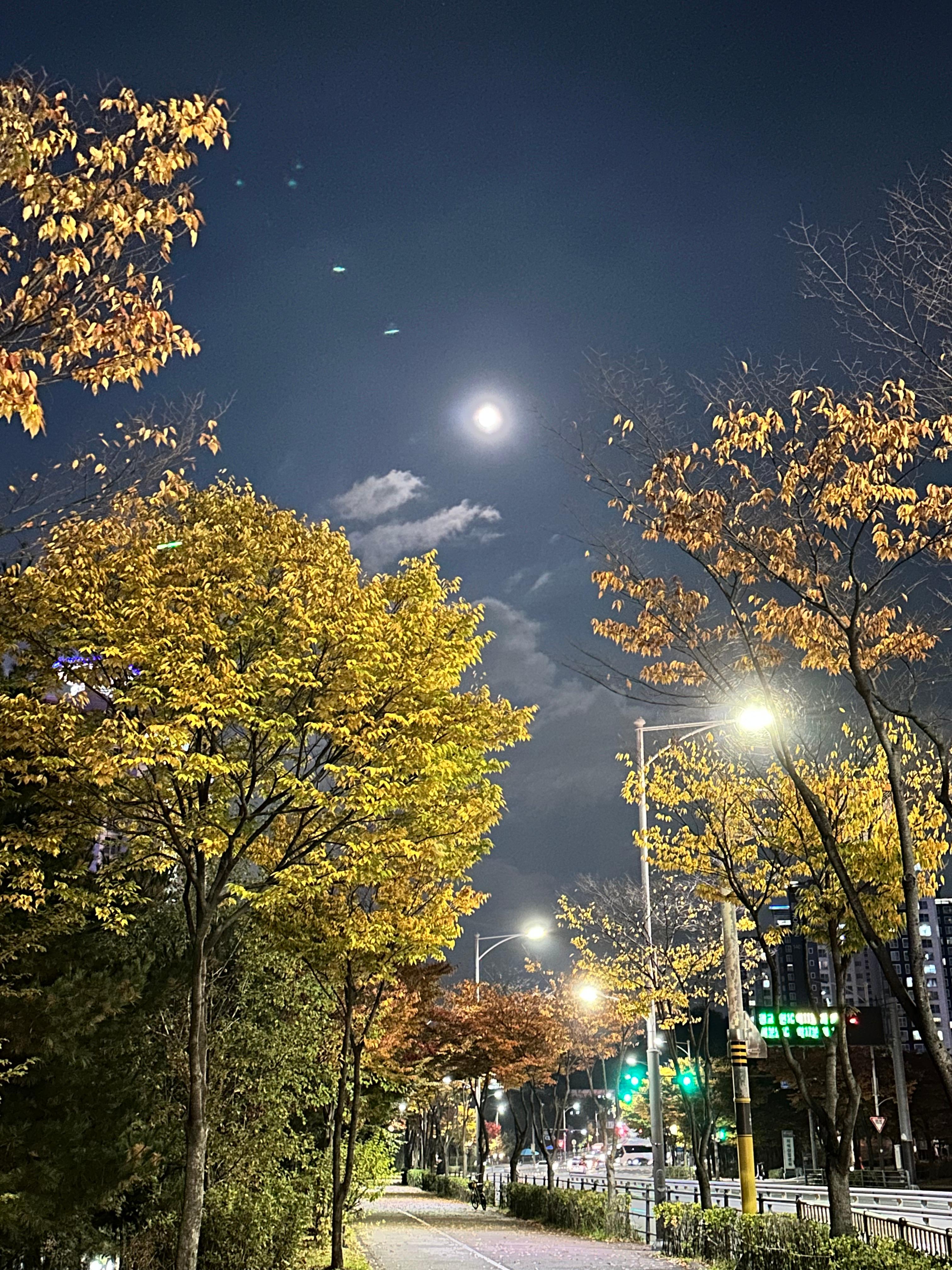 영덕동 실거주자 사진 1