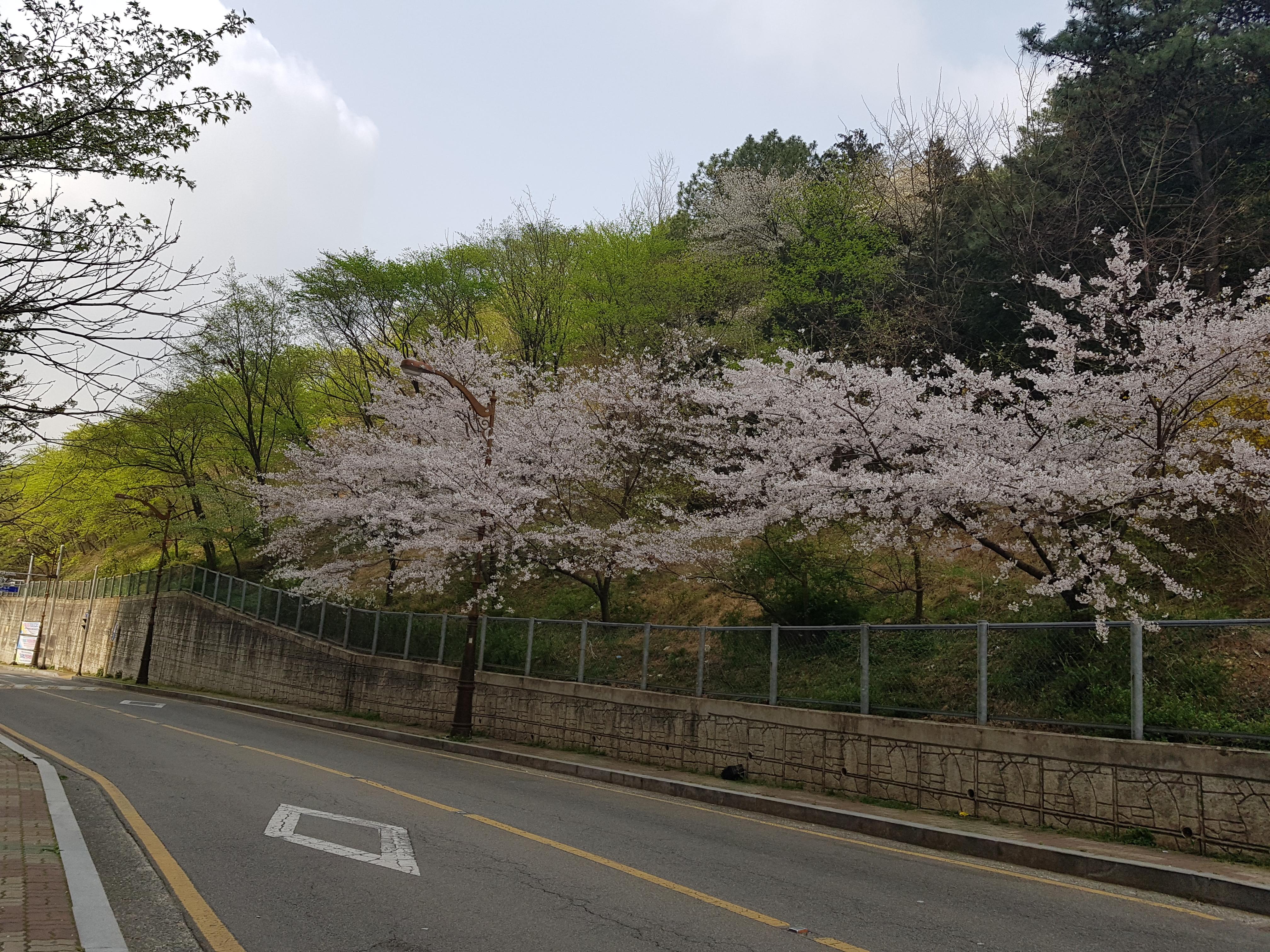 거제동 실거주자 사진 2