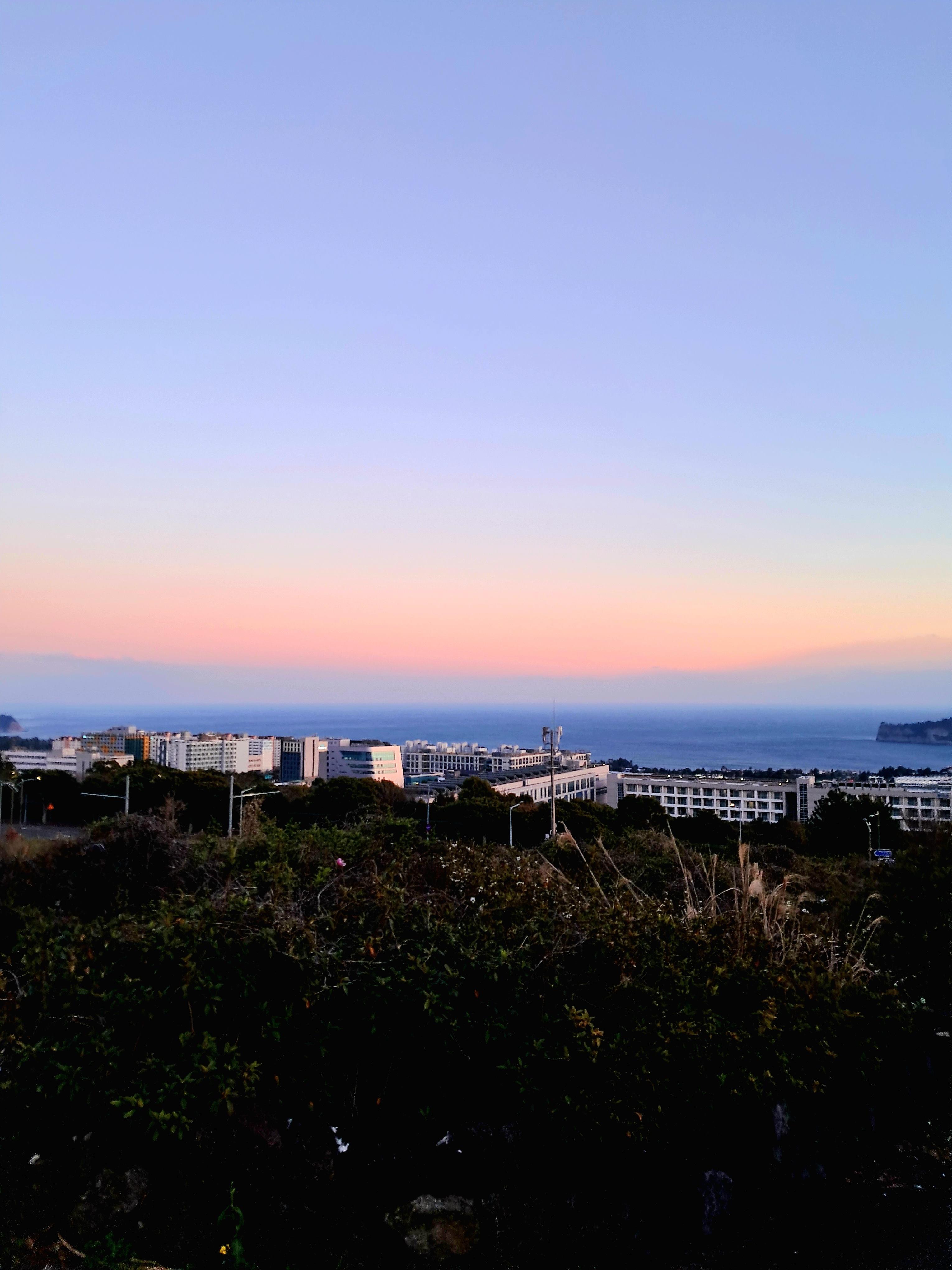 강정동 실거주자 사진 3