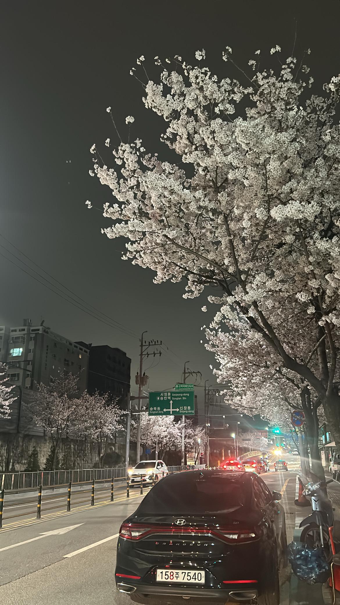 신장동 실거주자 사진 2