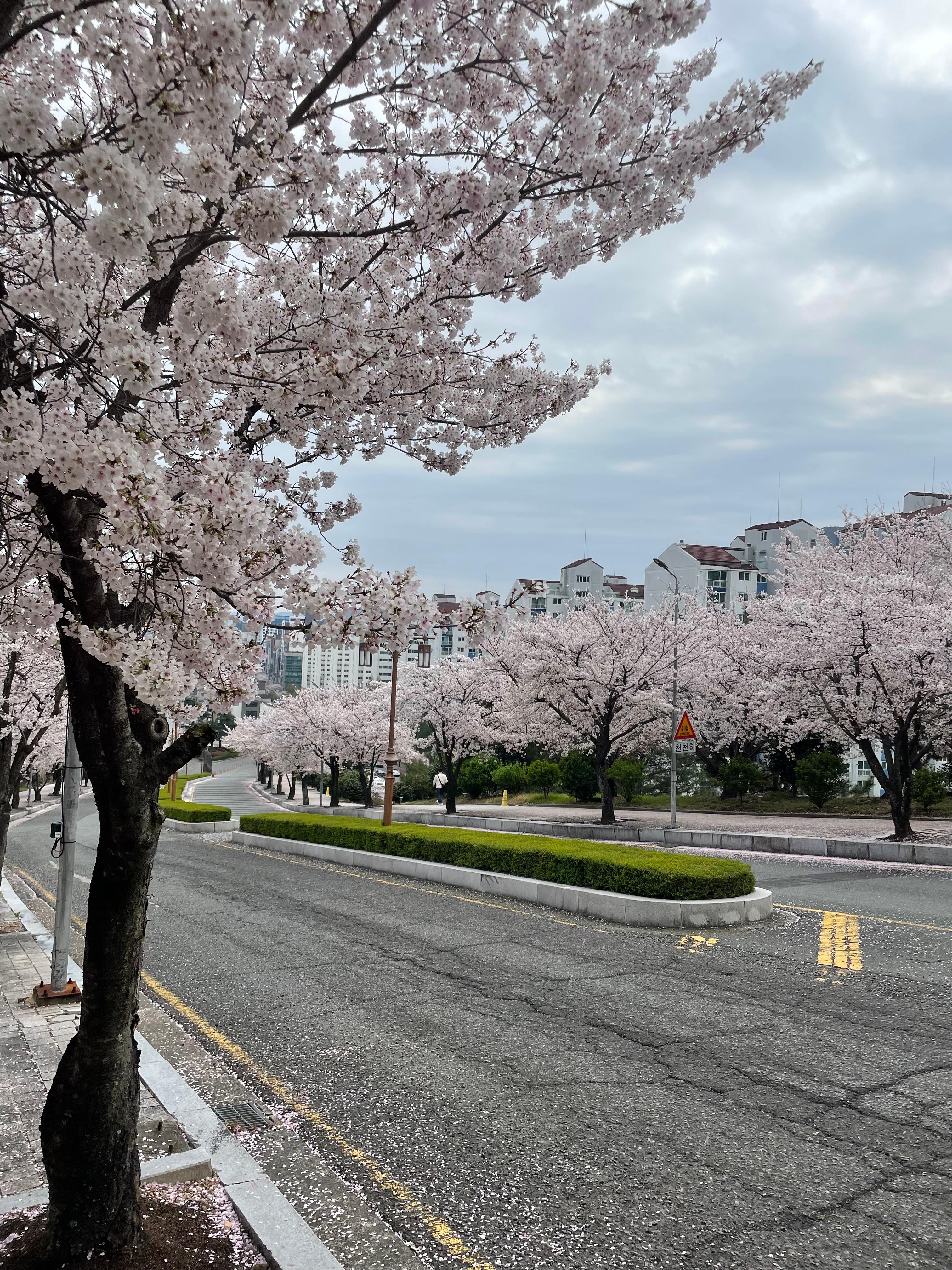 삼계동 실거주자 사진 1