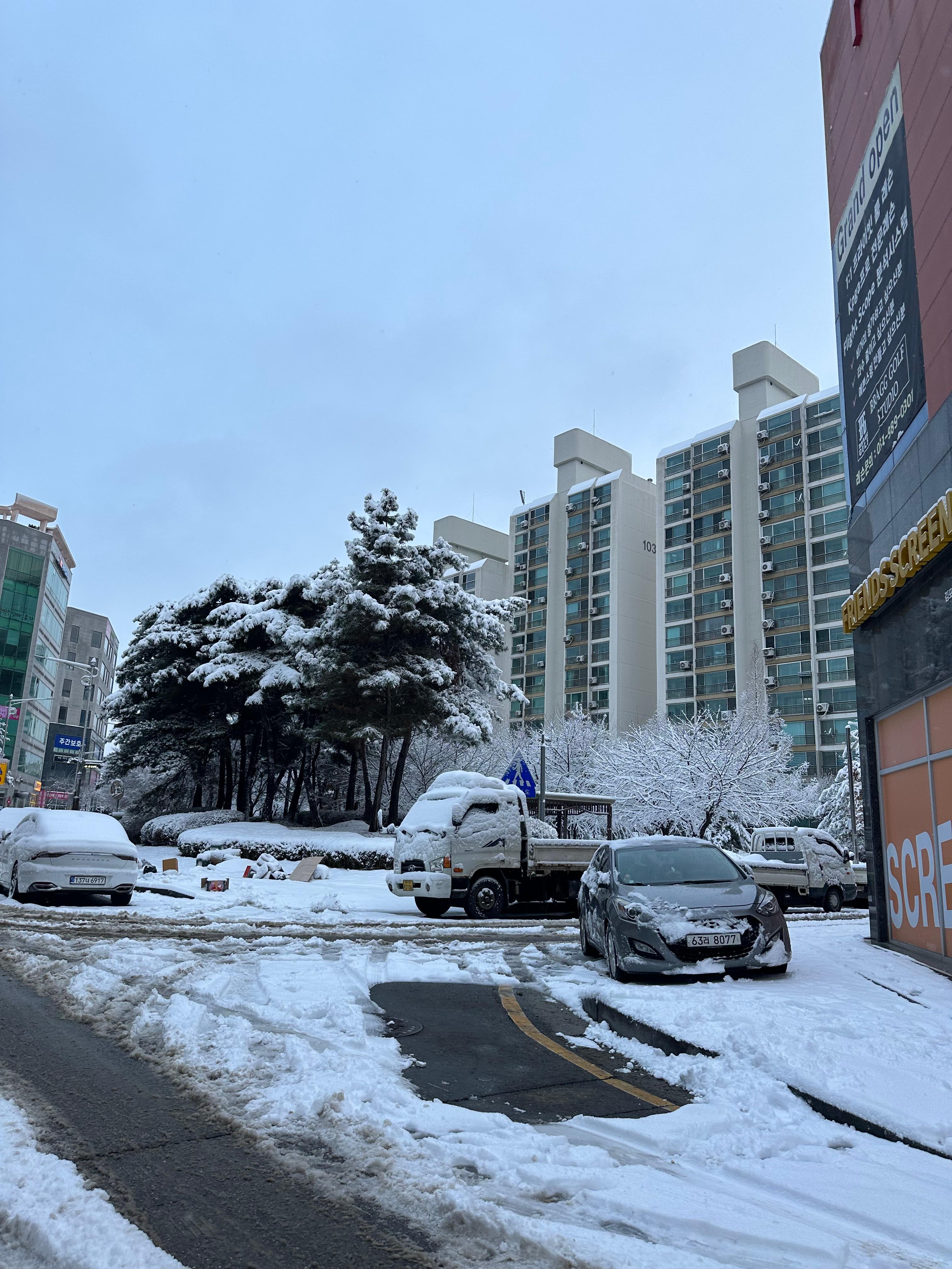 양촌읍 실거주자 사진 3