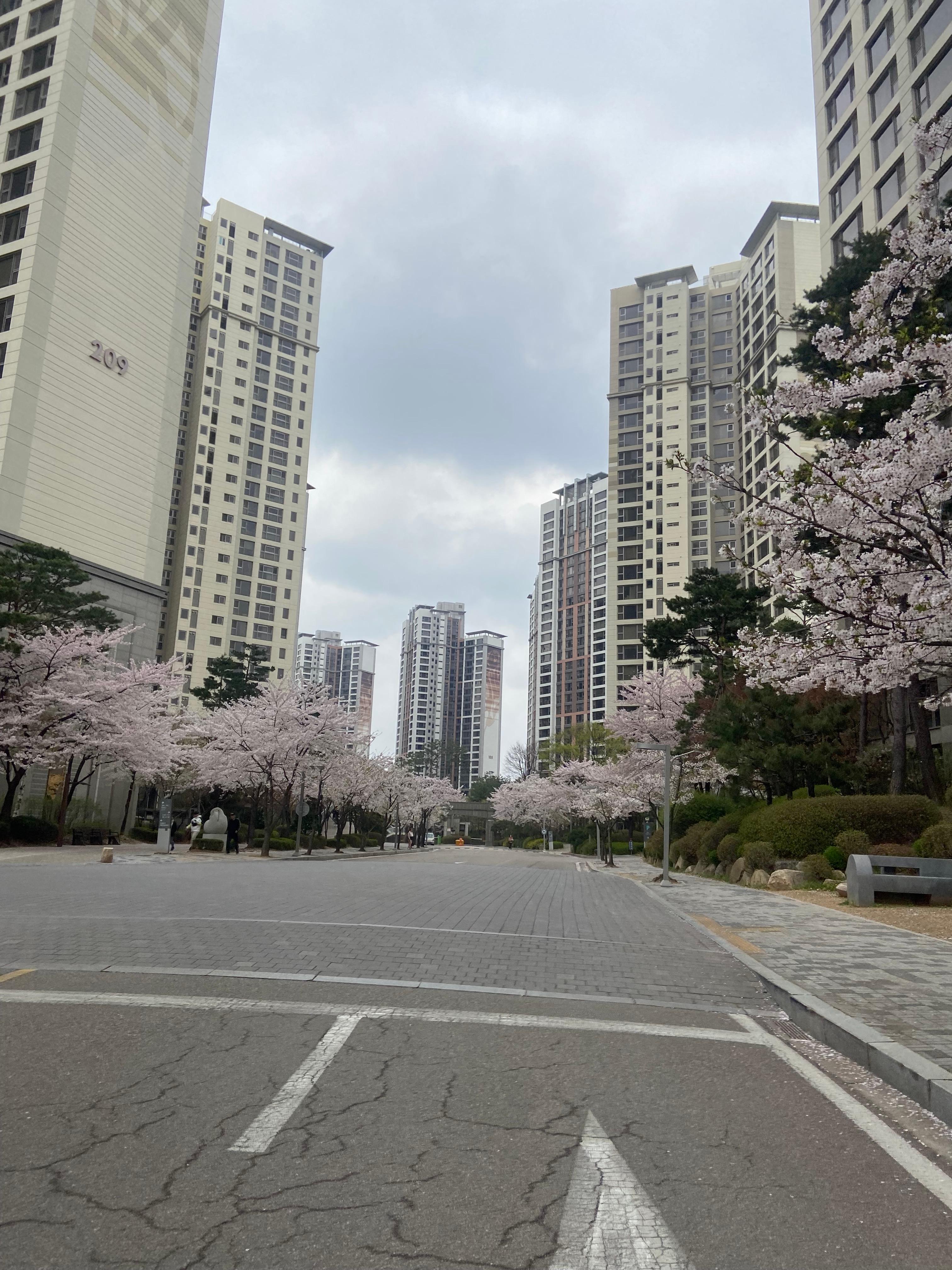 식사동 실거주자 사진 1