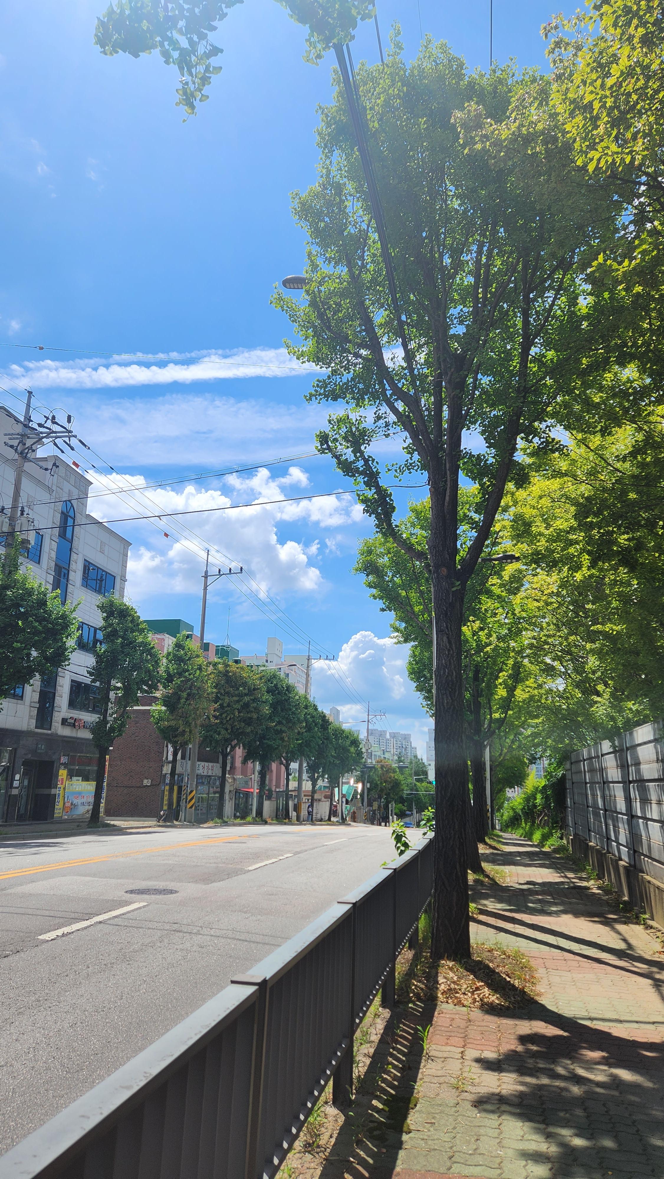 내방동 실거주자 사진 1
