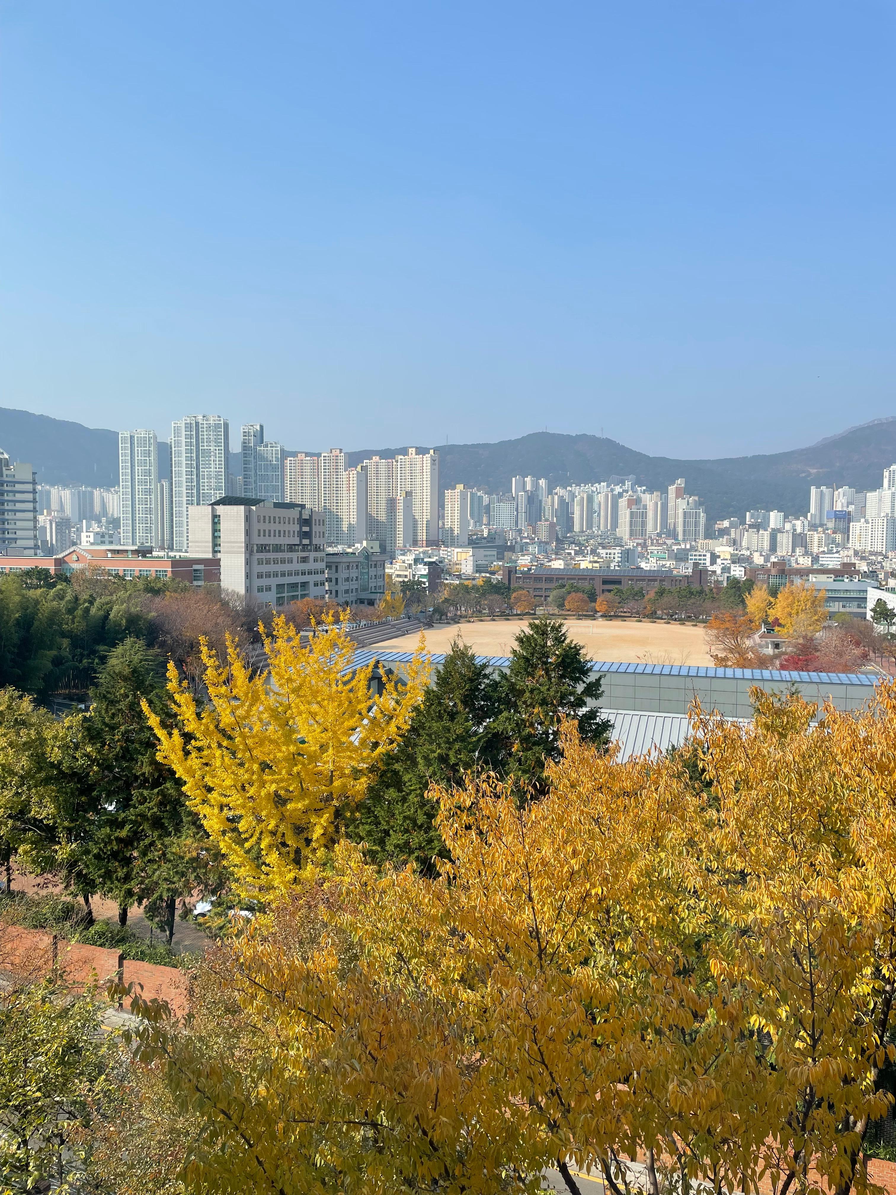 거제동 실거주자 사진 1