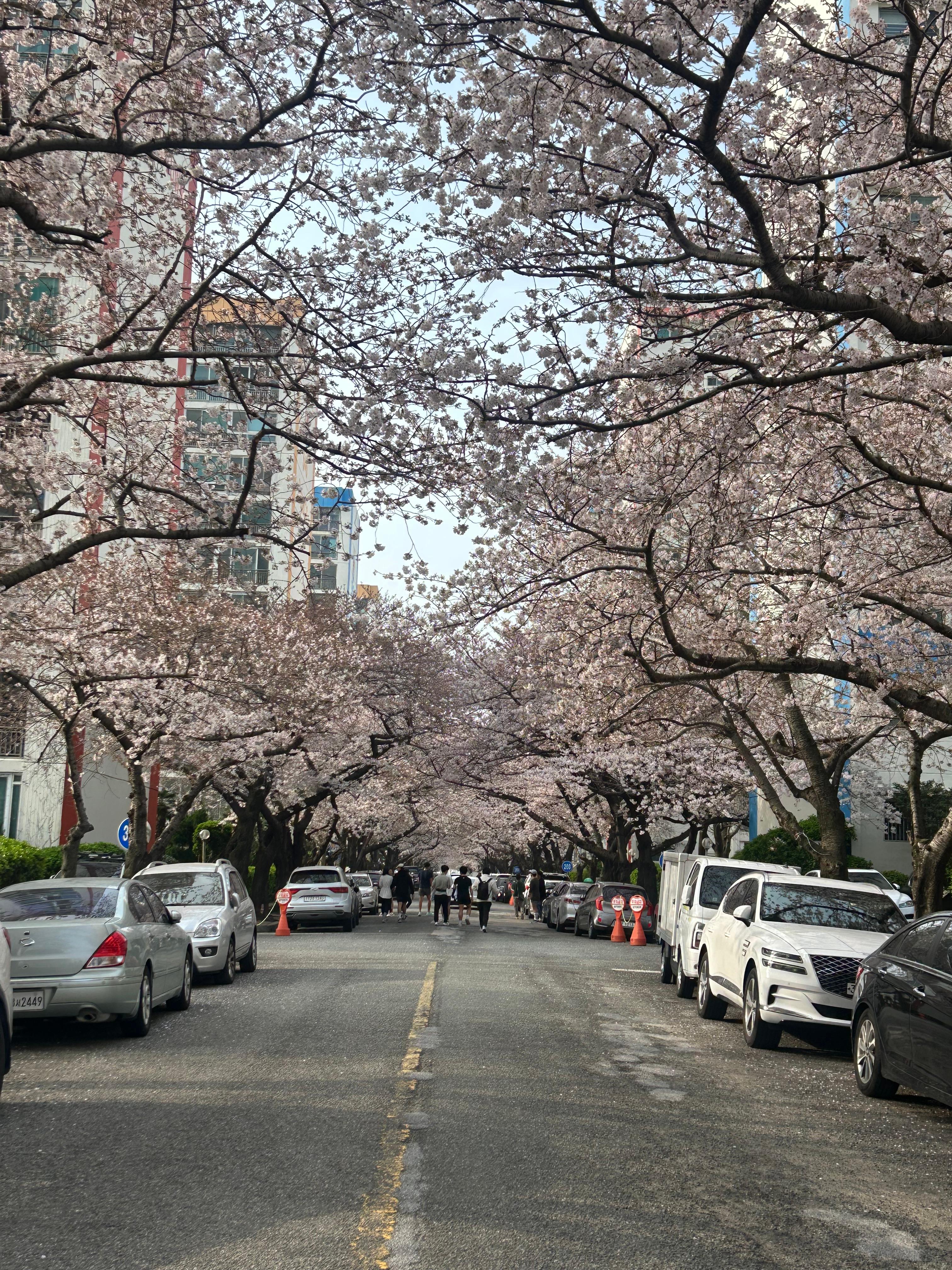 광안동 실거주자 사진 1