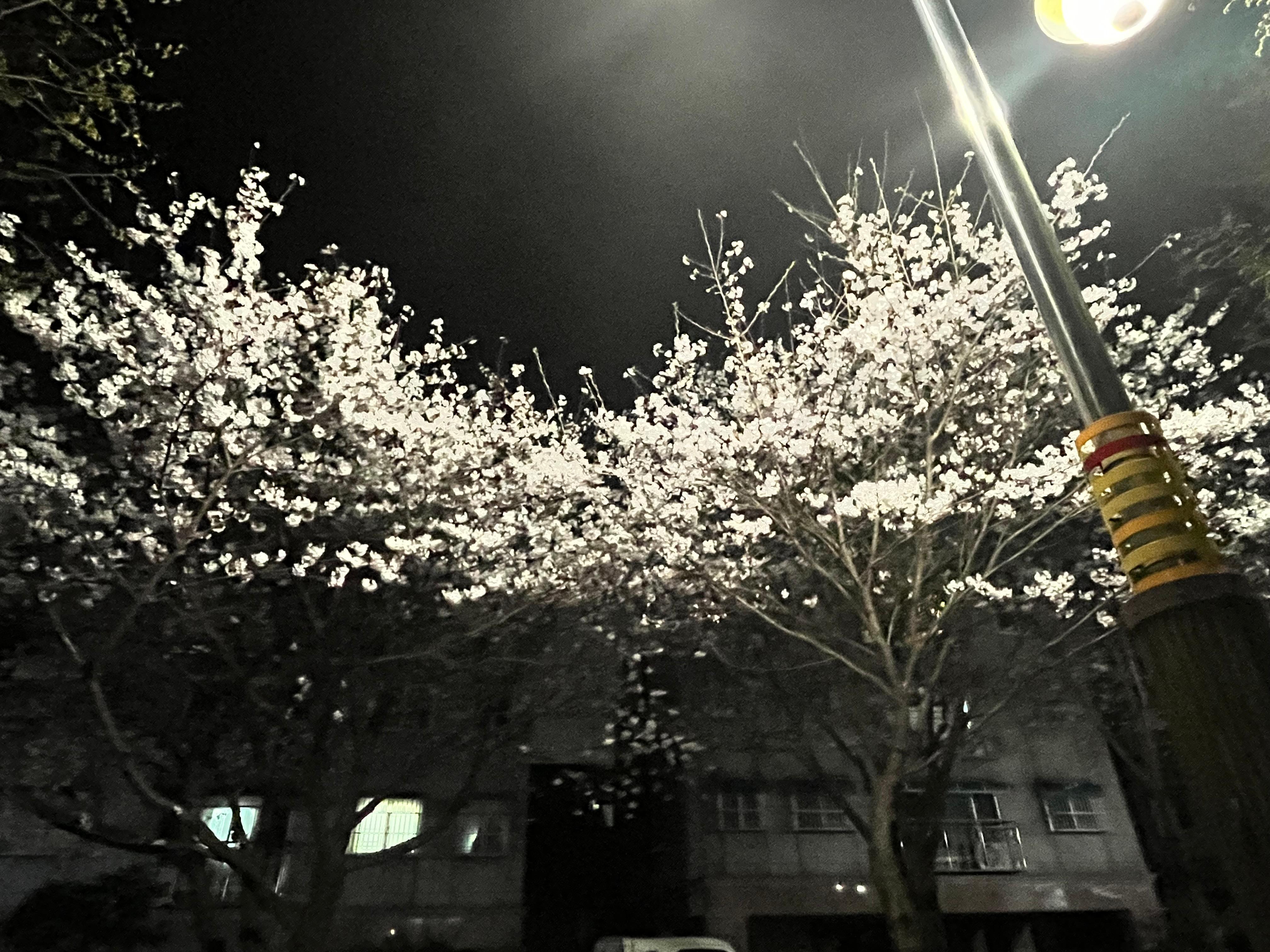 장기동 실거주자 사진 2