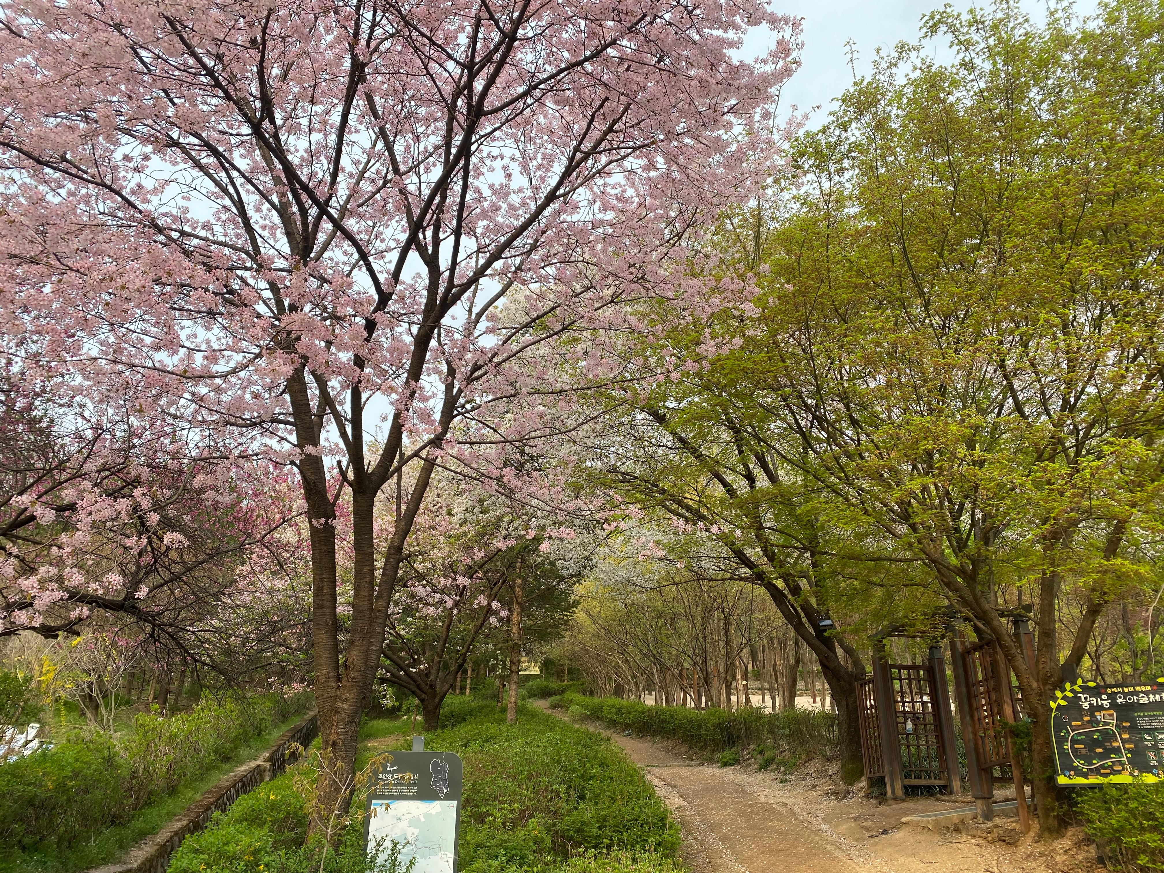 창동 실거주자 사진 2