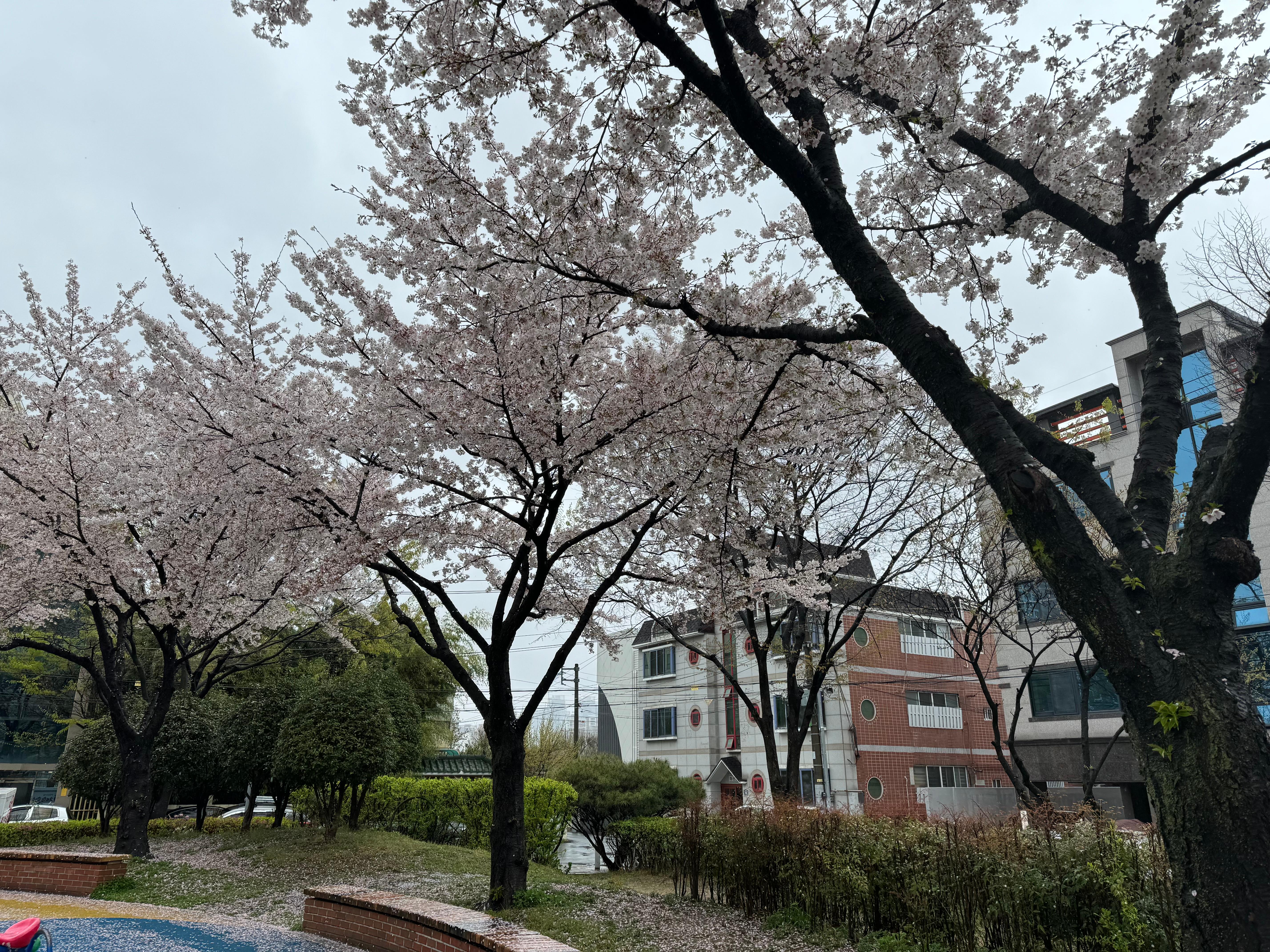 두산동 실거주자 사진 1