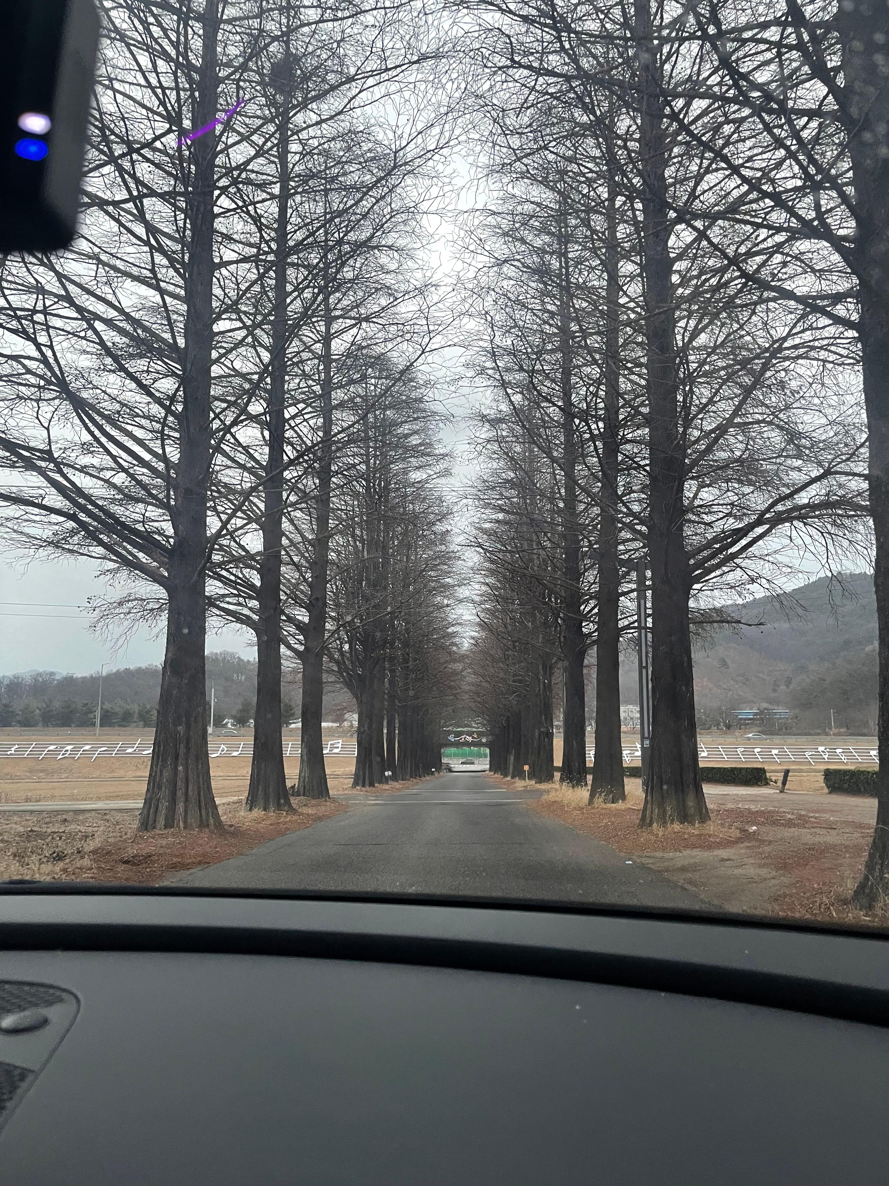 옥계동 실거주자 사진 3