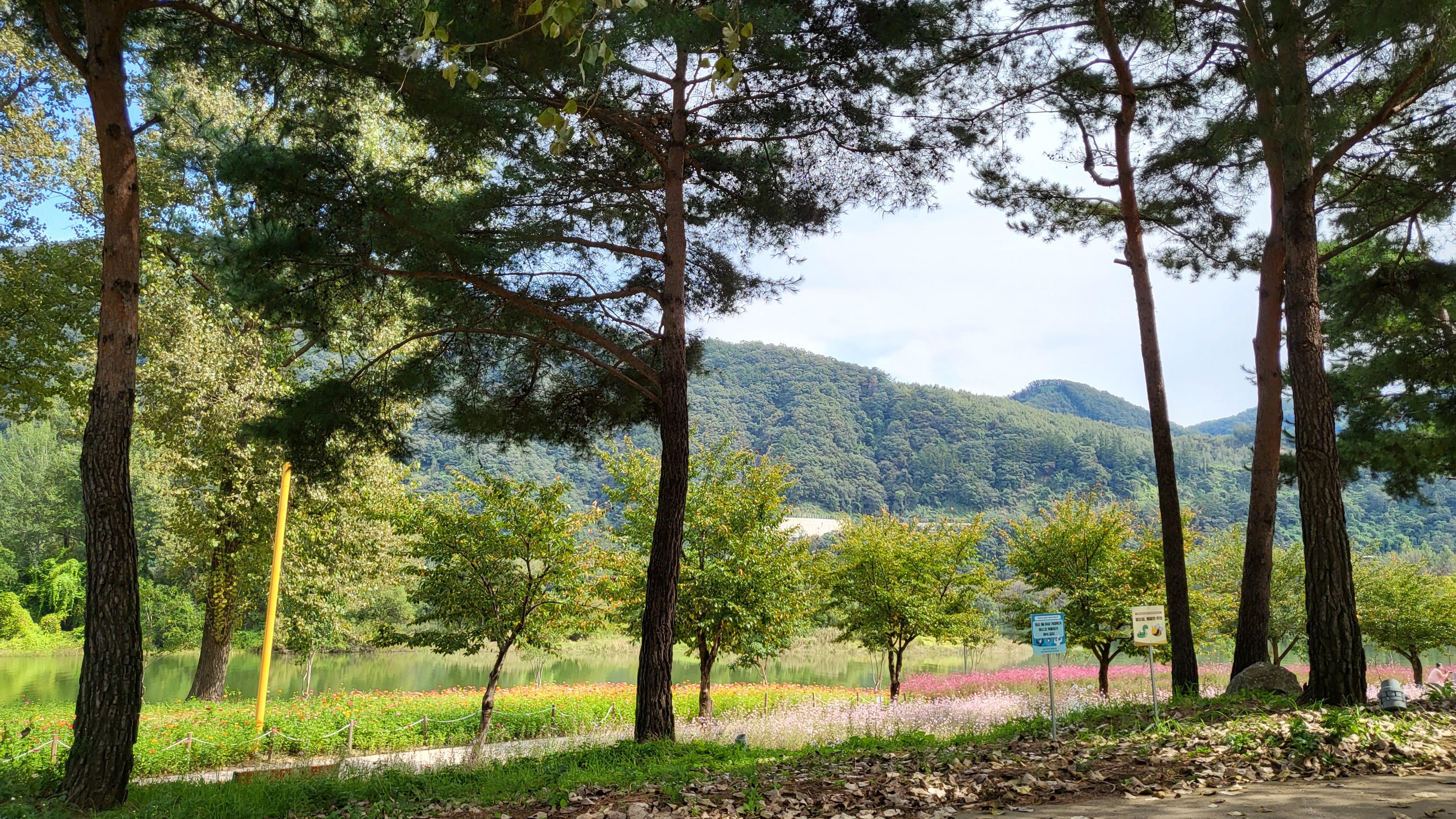시흥동 실거주자 사진 1