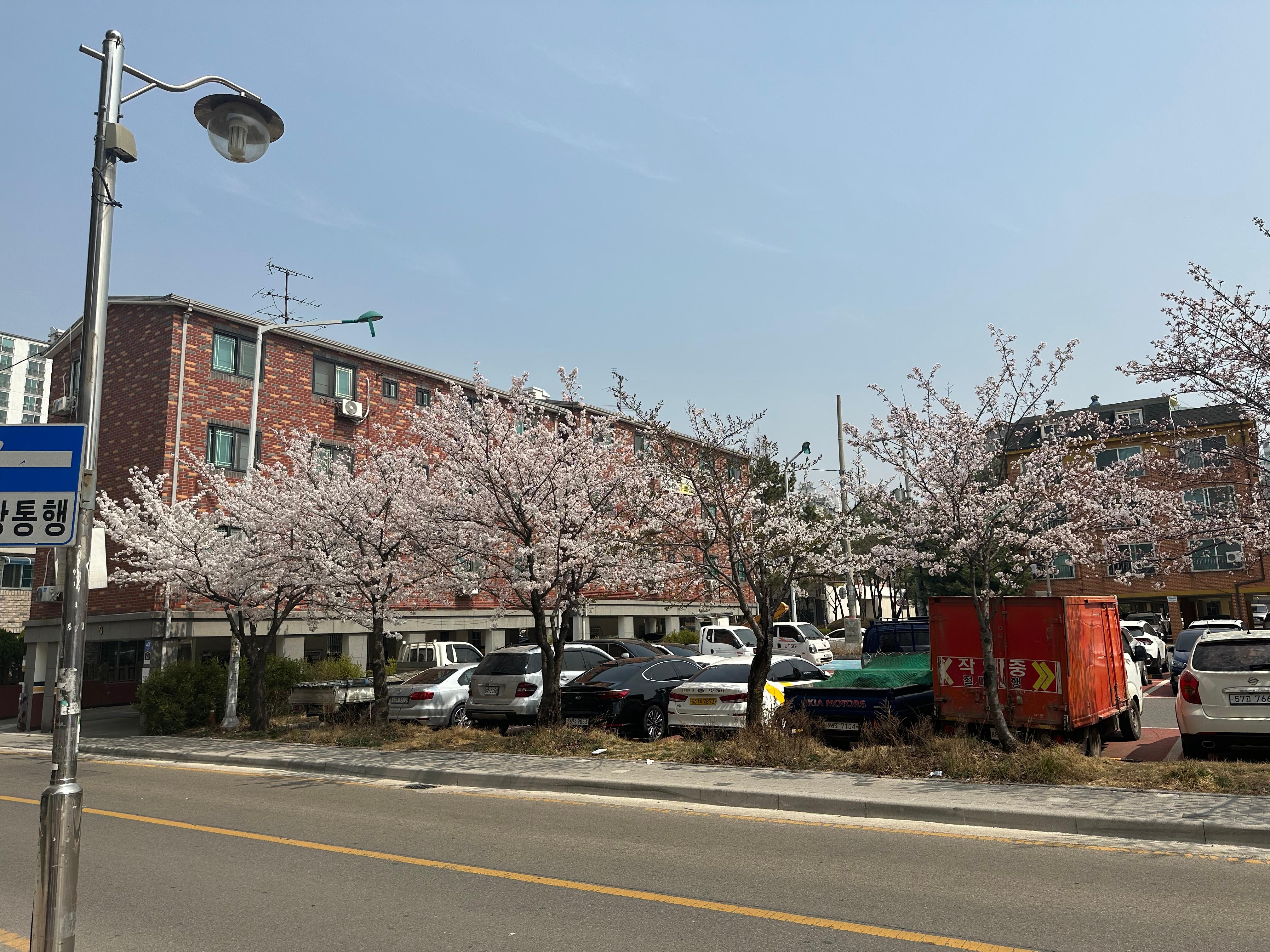 검암동 실거주자 사진 1