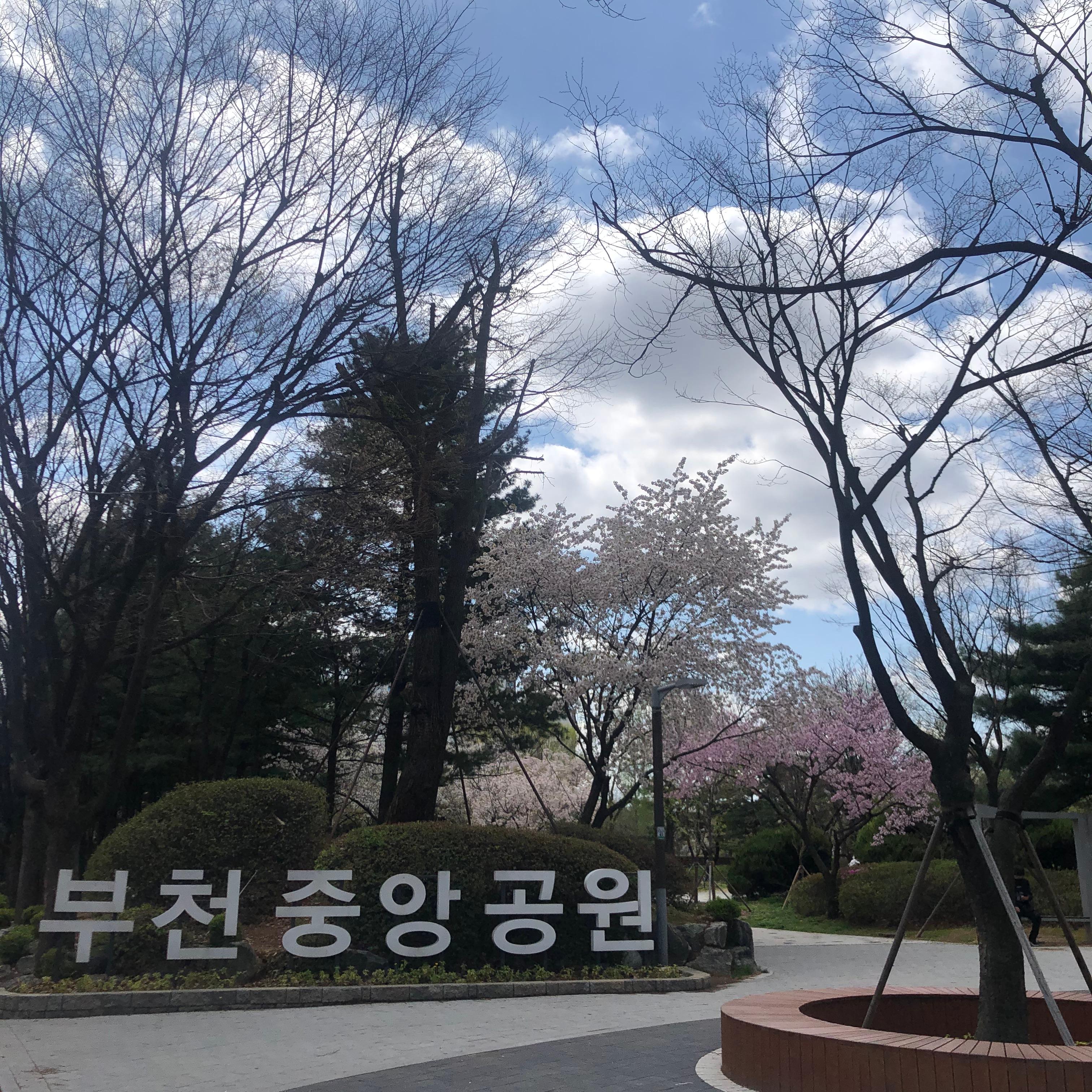 중동 실거주자 사진 3