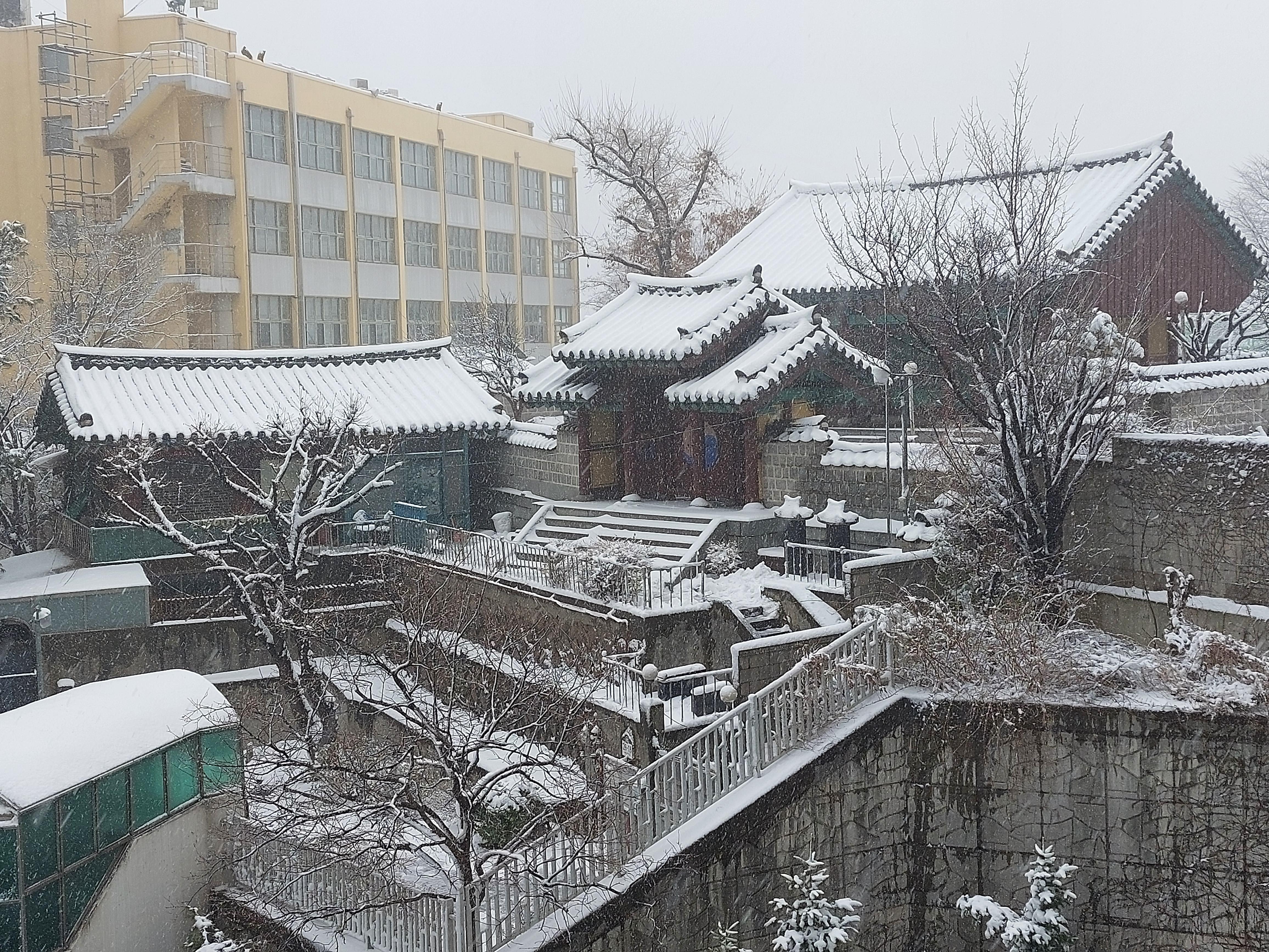 보광동 실거주자 사진 6