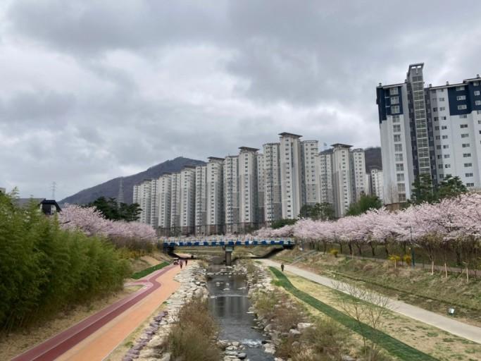 정관읍 실거주자 사진 2