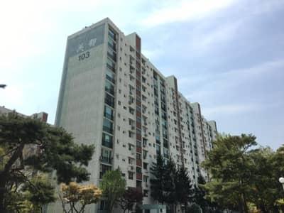 도곡동 실거주자 사진 3