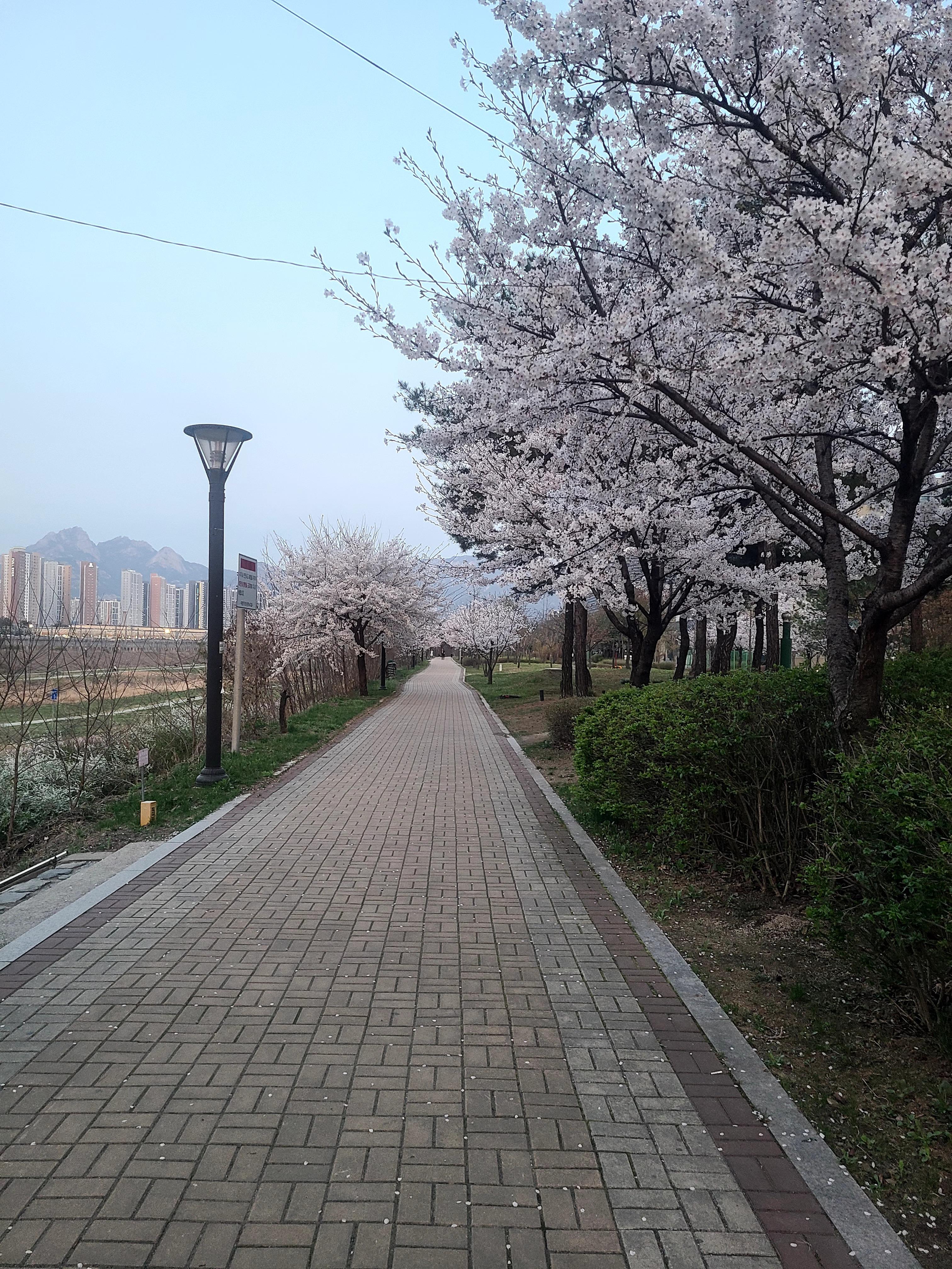 삼송동 실거주자 사진 1