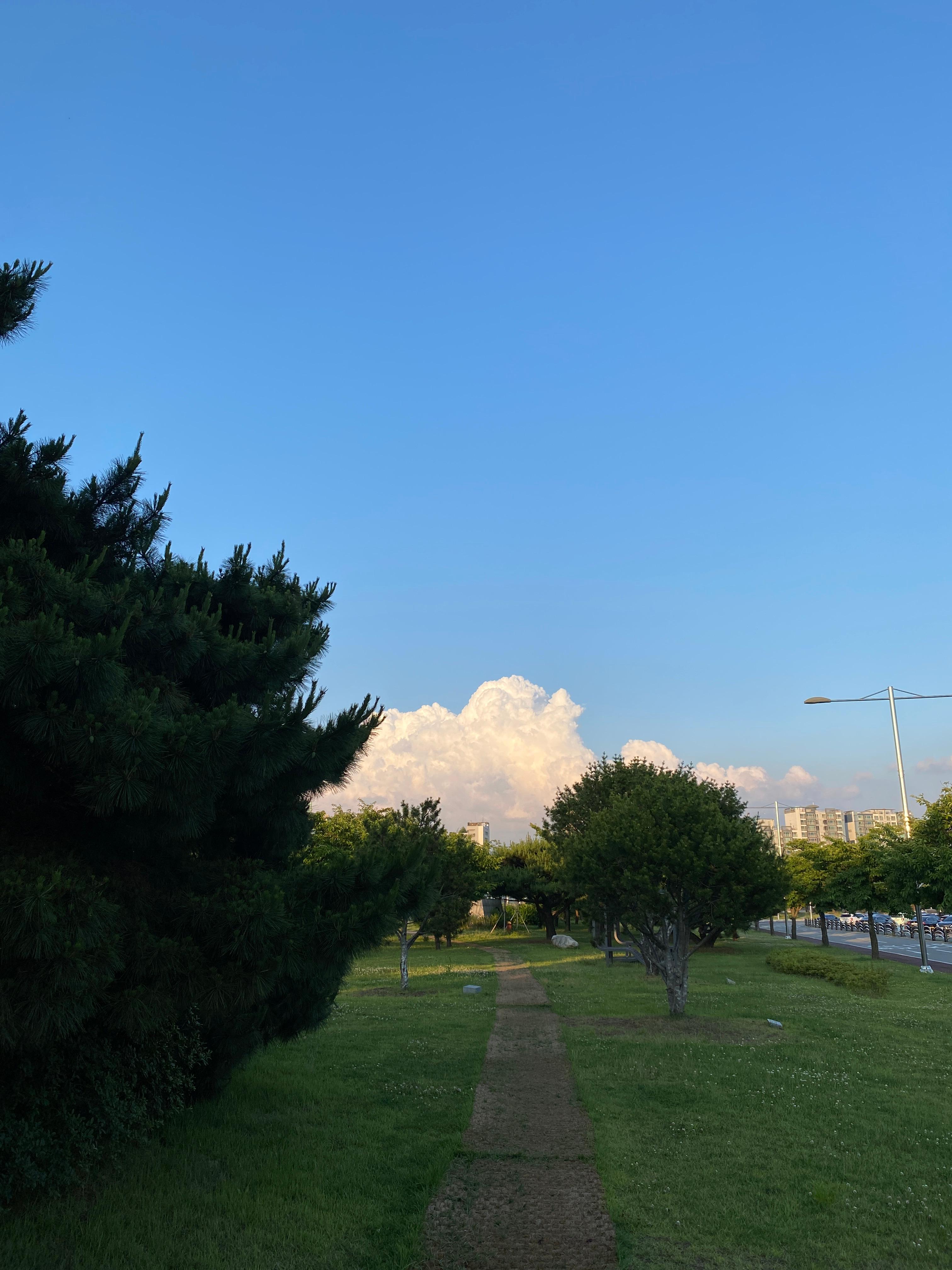 공항동 실거주자 사진 2
