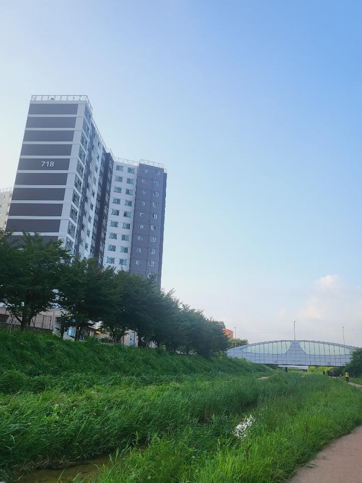 세류동 실거주자 사진 3