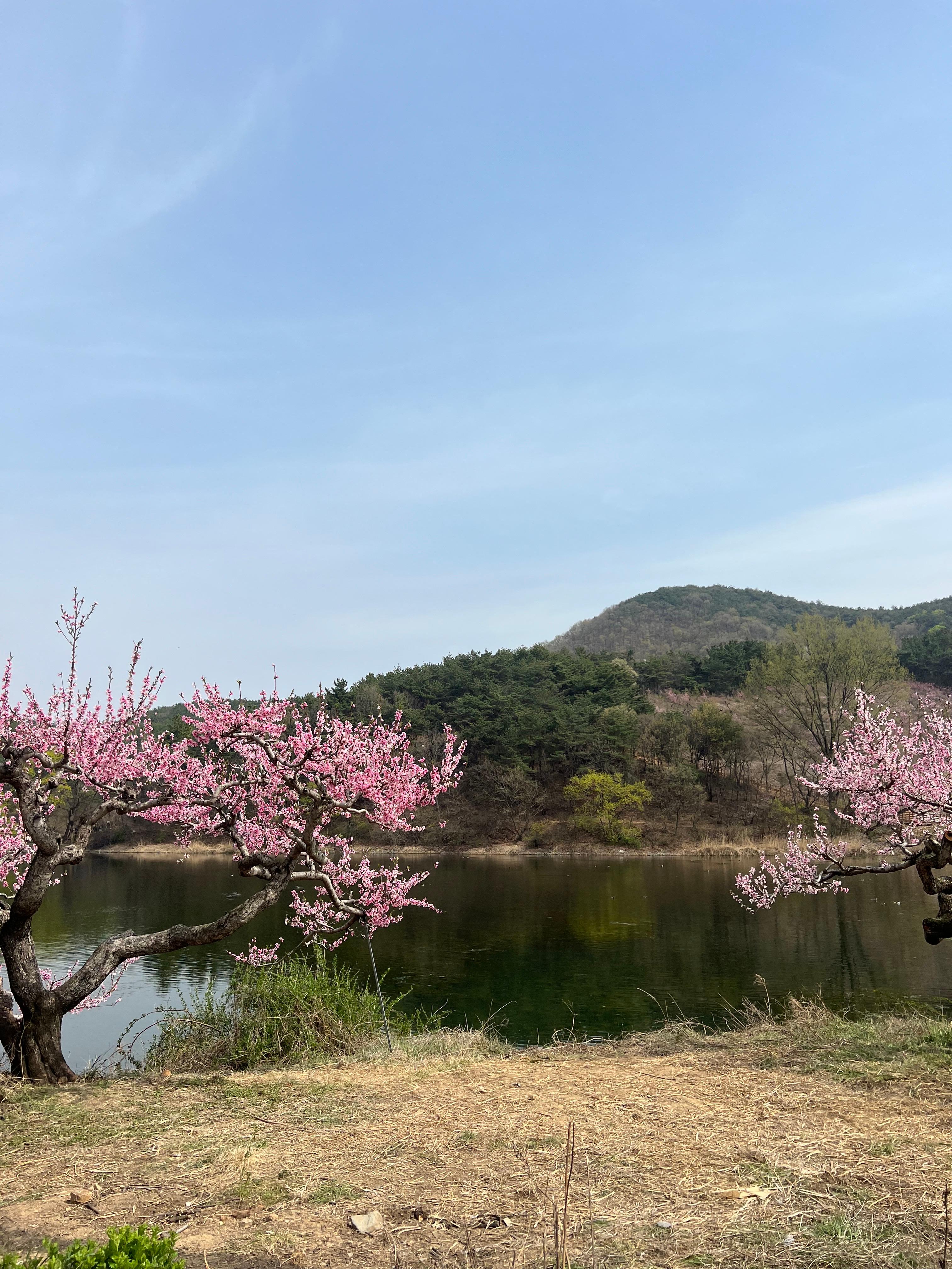 사동 실거주자 사진 1